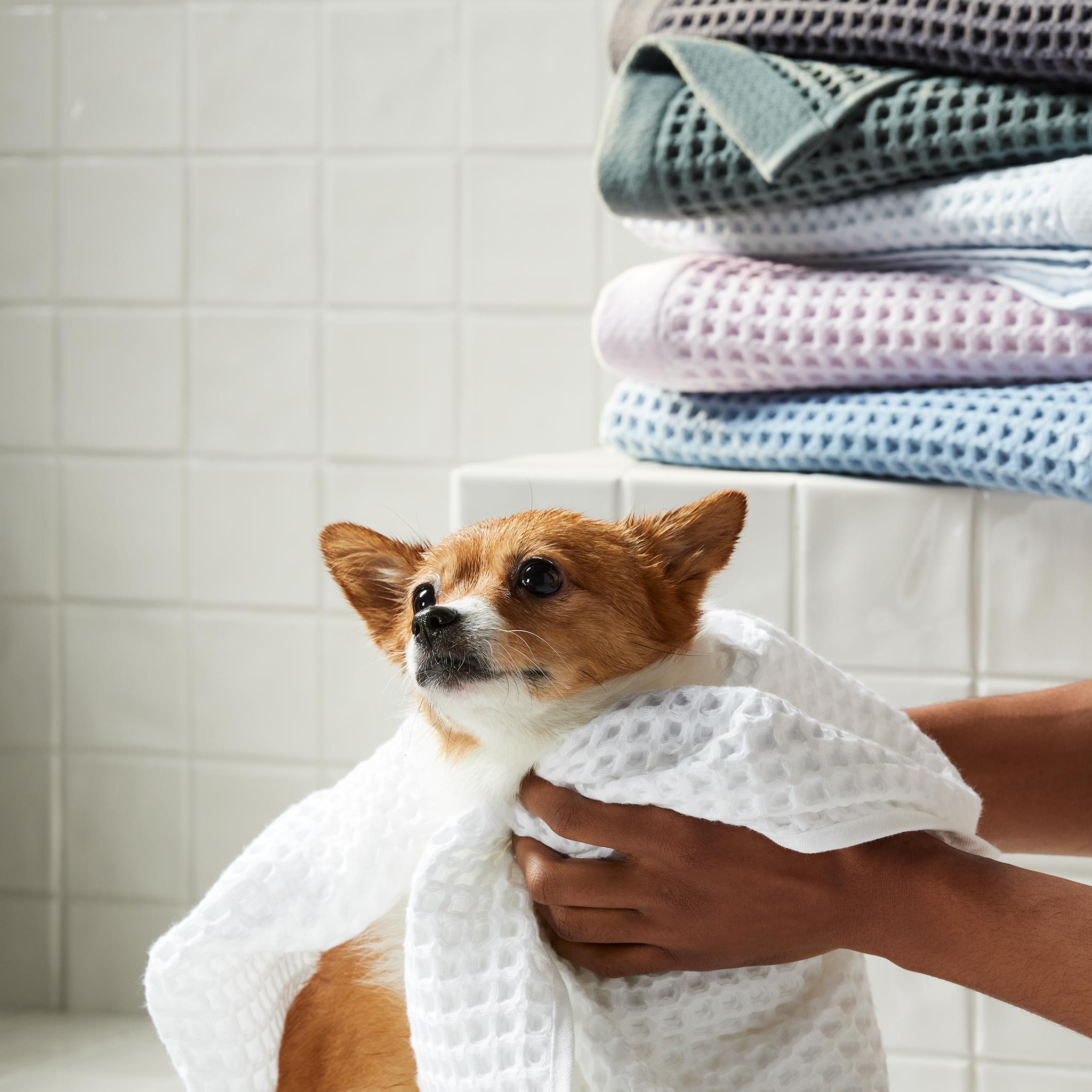  Dreamweave Waffle Washcloths - Last Call、mySite、sugarbowlscore