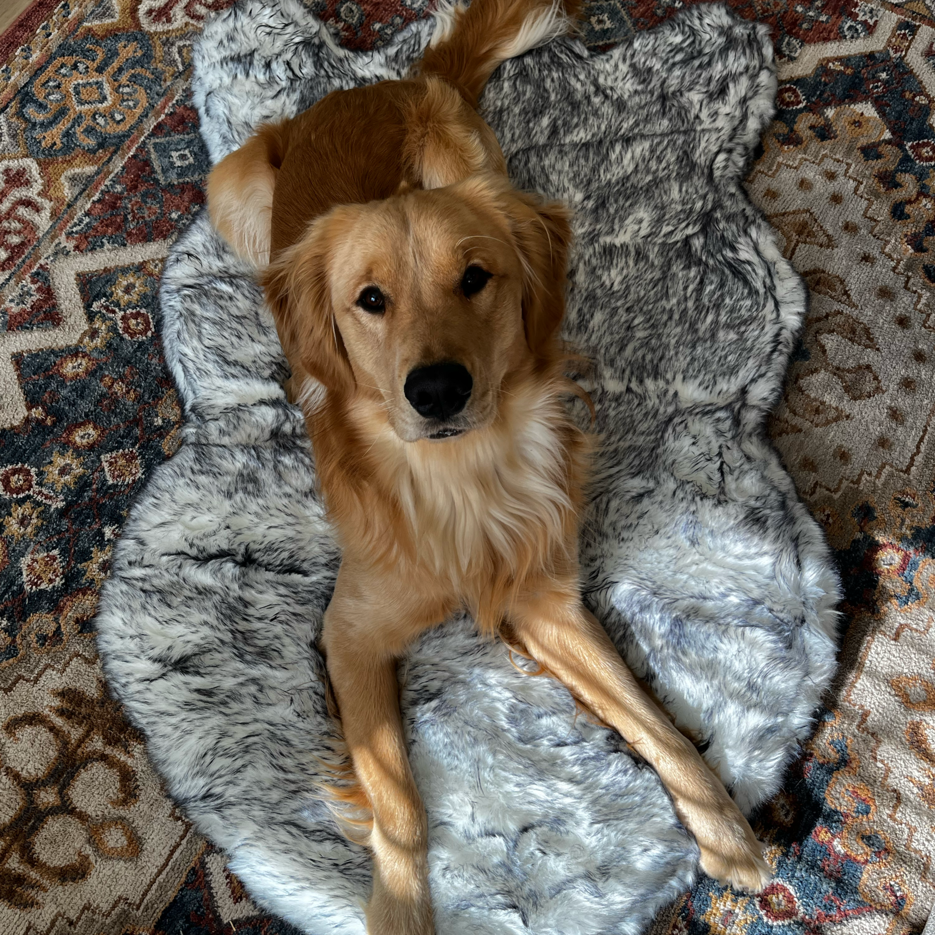 PupRug™ Luxe Faux Fur Orthopedic Dog Bed - Ultra Plush Arctic Fox、mySite、solidvoid