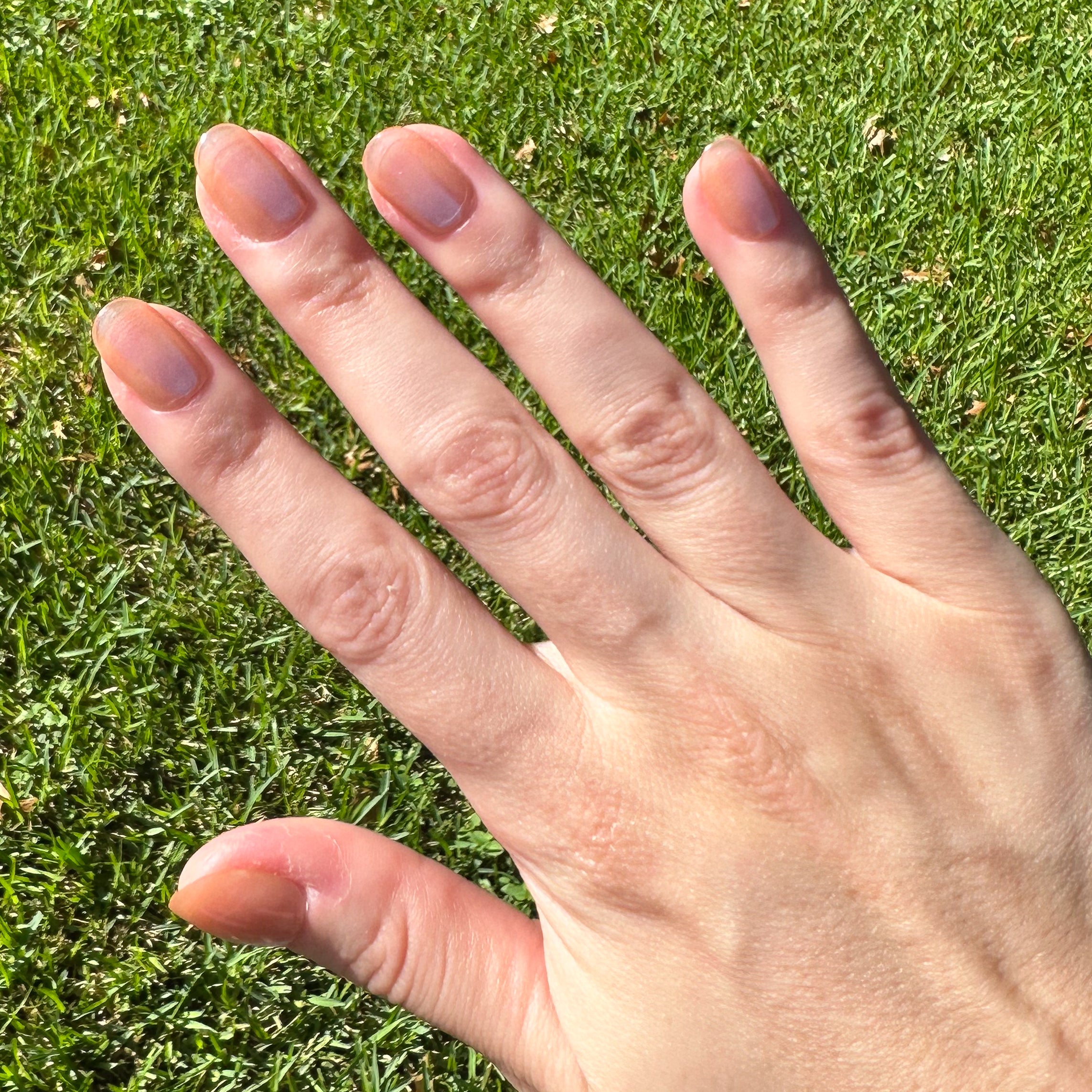 Velvet KAG - Press-On | Extra Short | Round、mySite、solidvoid