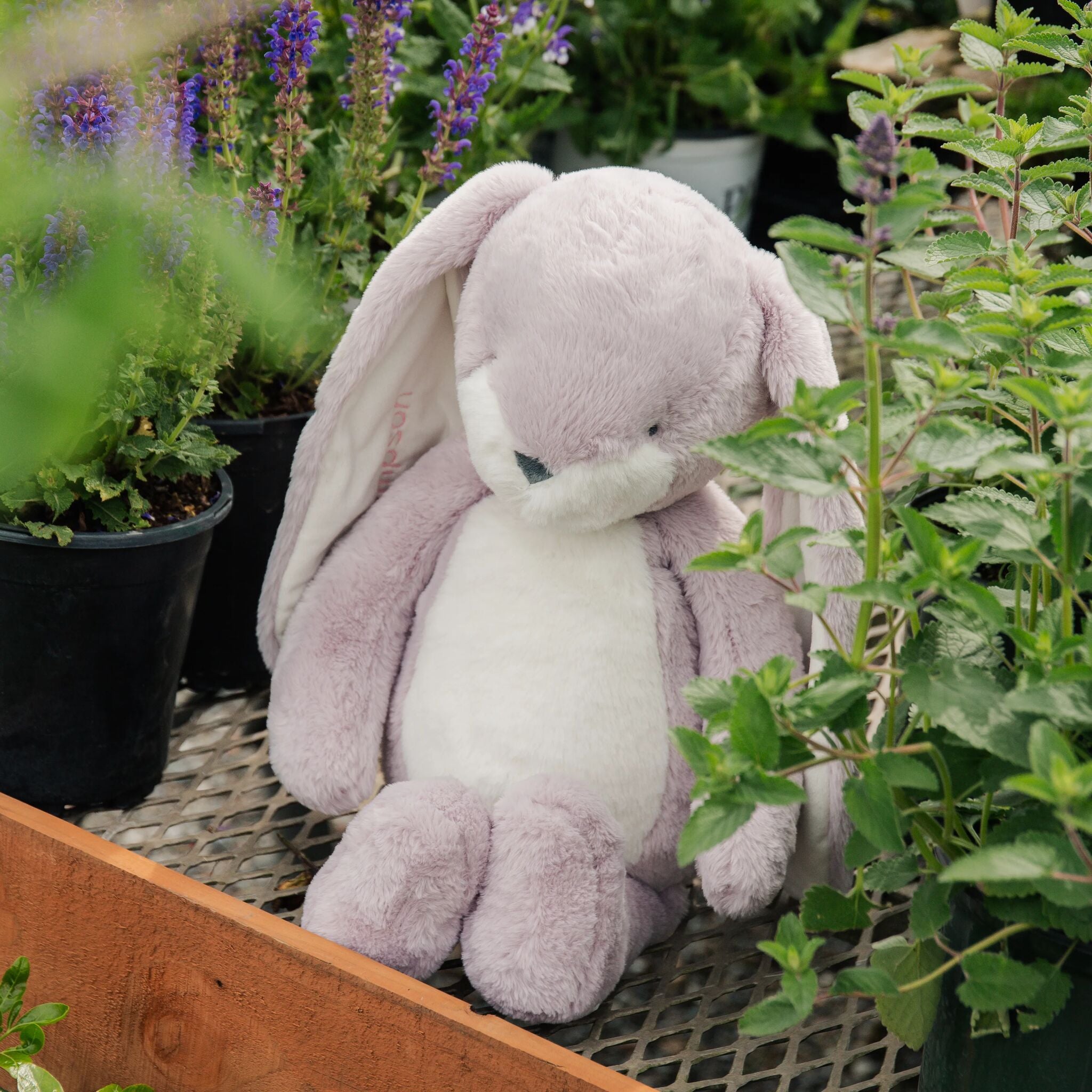 Big 20 Floppy Nibble Bunny- Lilac Marble、mySite、g9winljtr