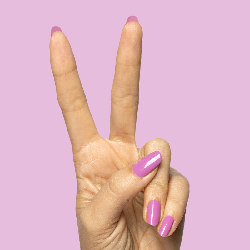 Petal、mySite、solidvoid