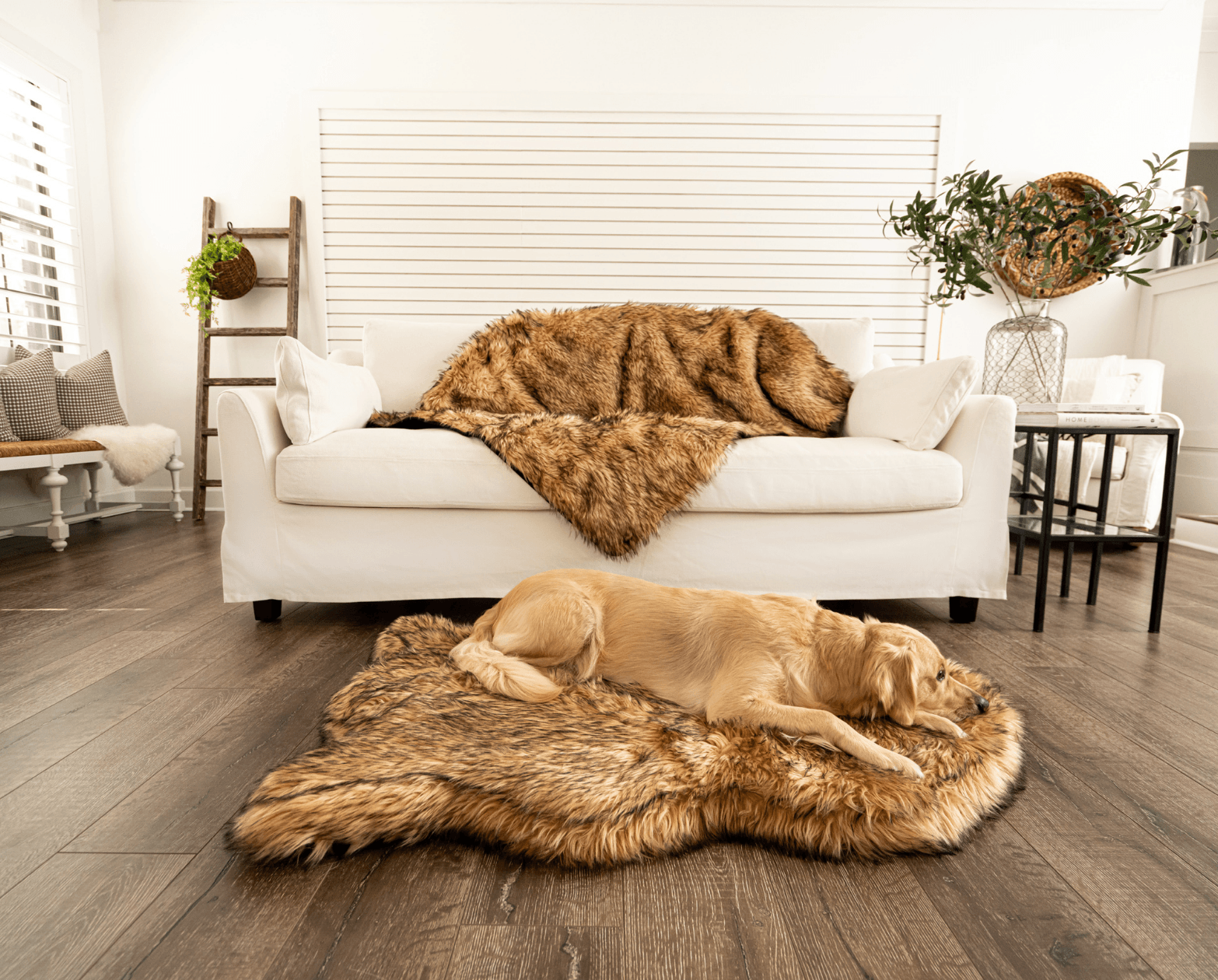 PupRug™ Orthopedic Bed + Matching Waterproof Blanket Bundle- Sable Tan、mySite、solidvoid