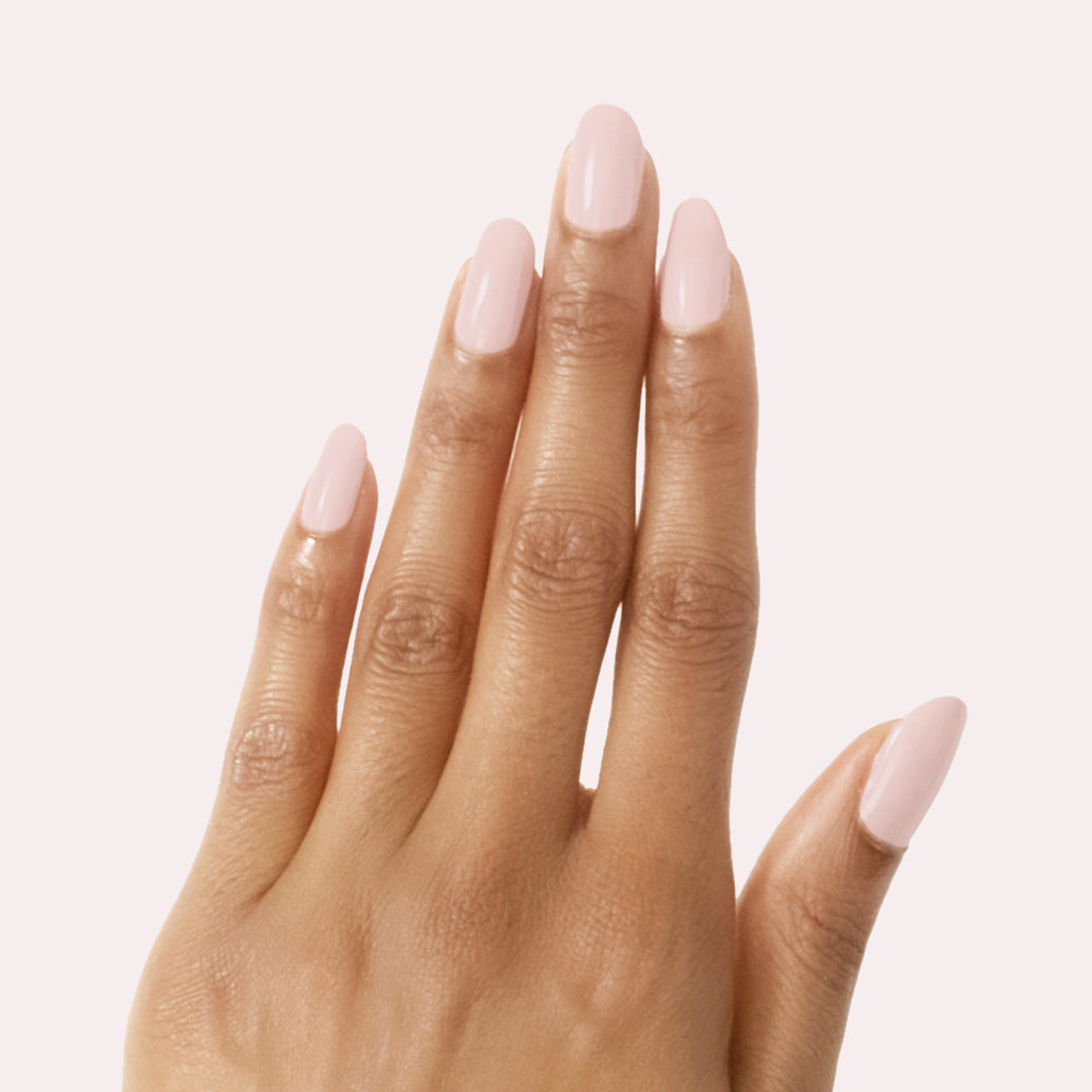 Study Hall、mySite、solidvoid