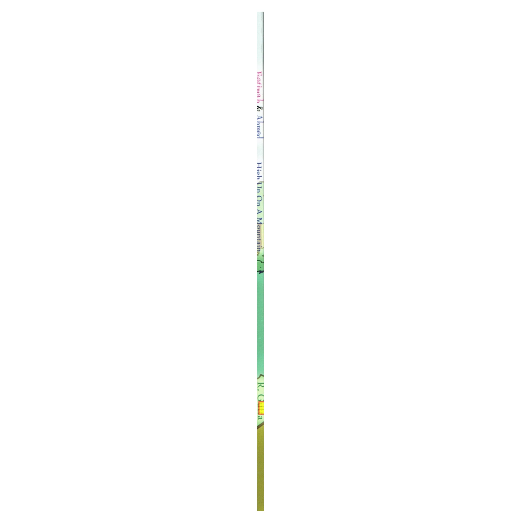 Faatimah & Ahmed (High Up On A Mountain) By Razeena Gutta、mySite、topwebapps