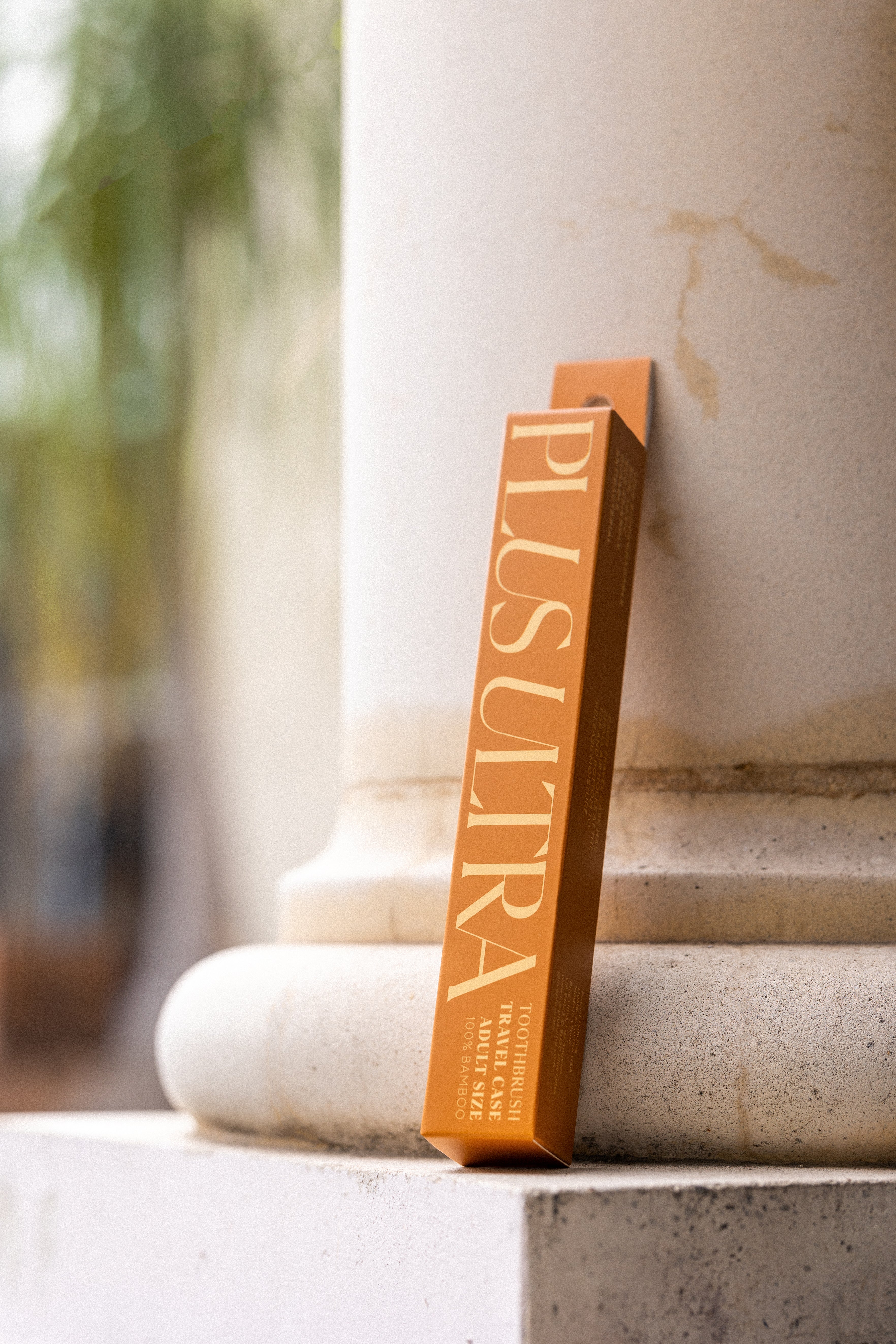 Bamboo Travel Case、mySite、gigharbornorthrealestate