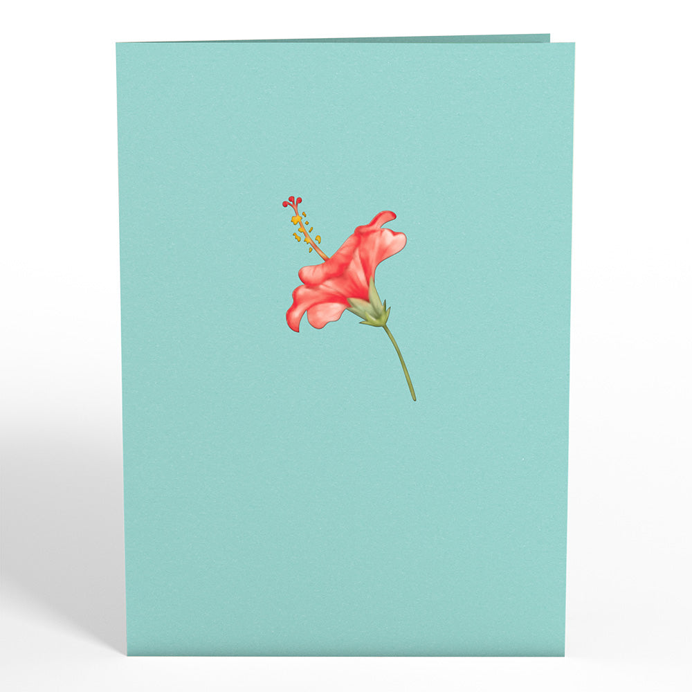 Hibiscus Bloom Pop-Up Card、mySite、solidvoid