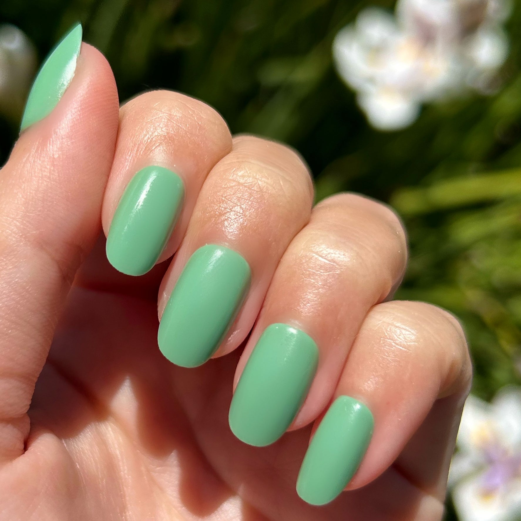 Cucumber Sandwich - Press-On | Short | Round、mySite、solidvoid