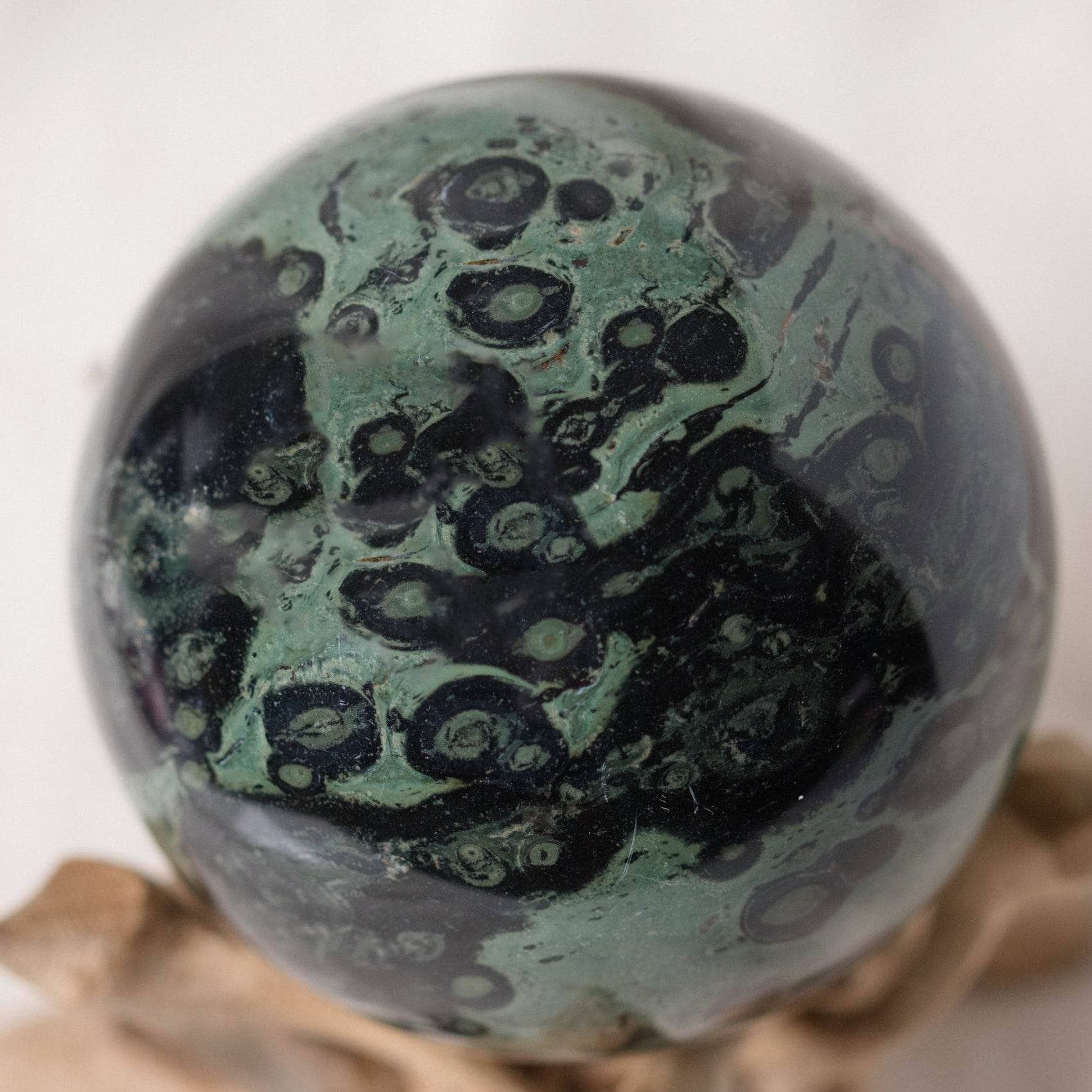 Kambaba Jasper Sphere - AAA Premium Quality、mySite、hinf8tx79