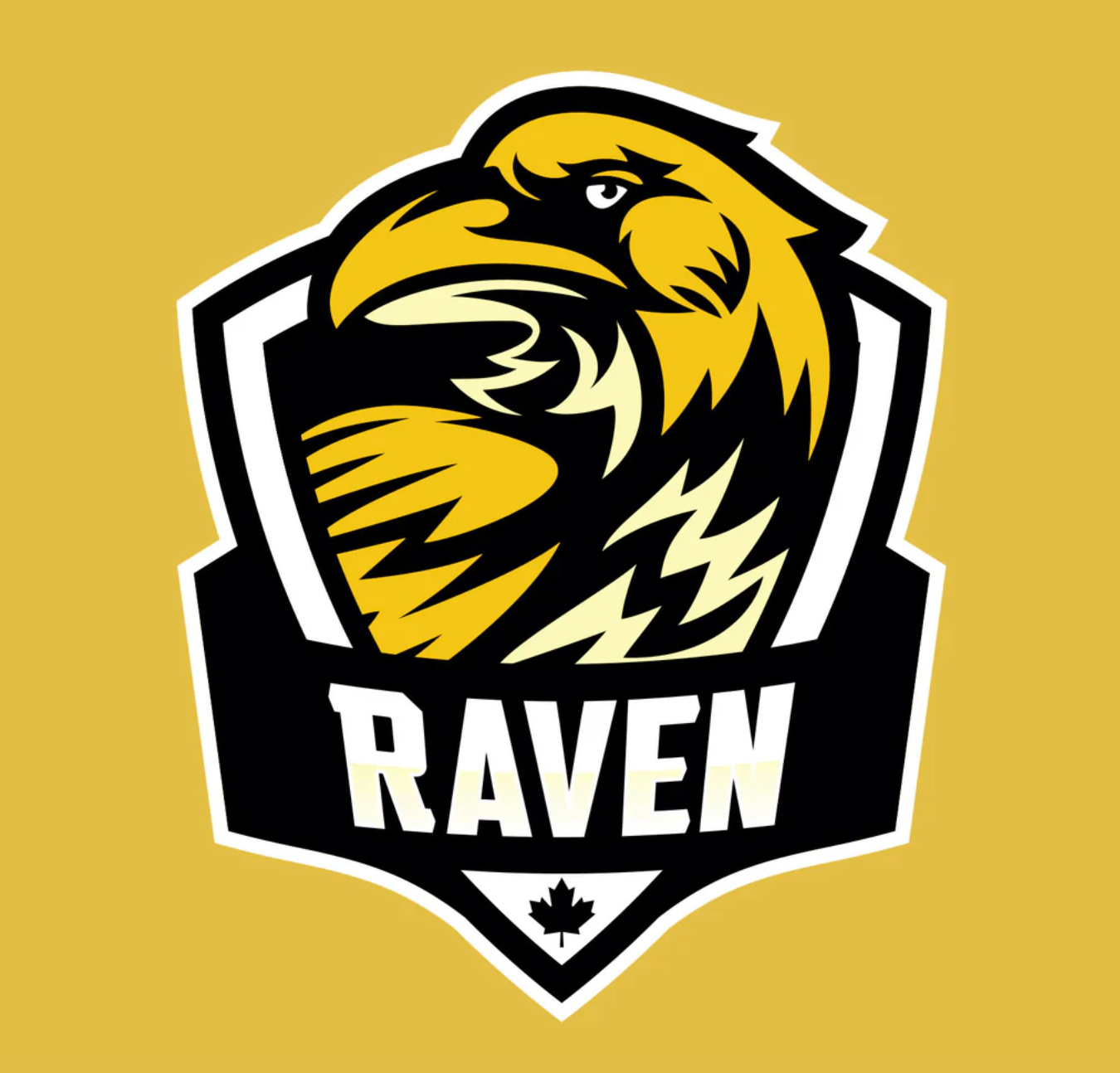 CDNIS Yellow Grade 6, 7, & 8 House PE Shirt、mySite、g9winljtr