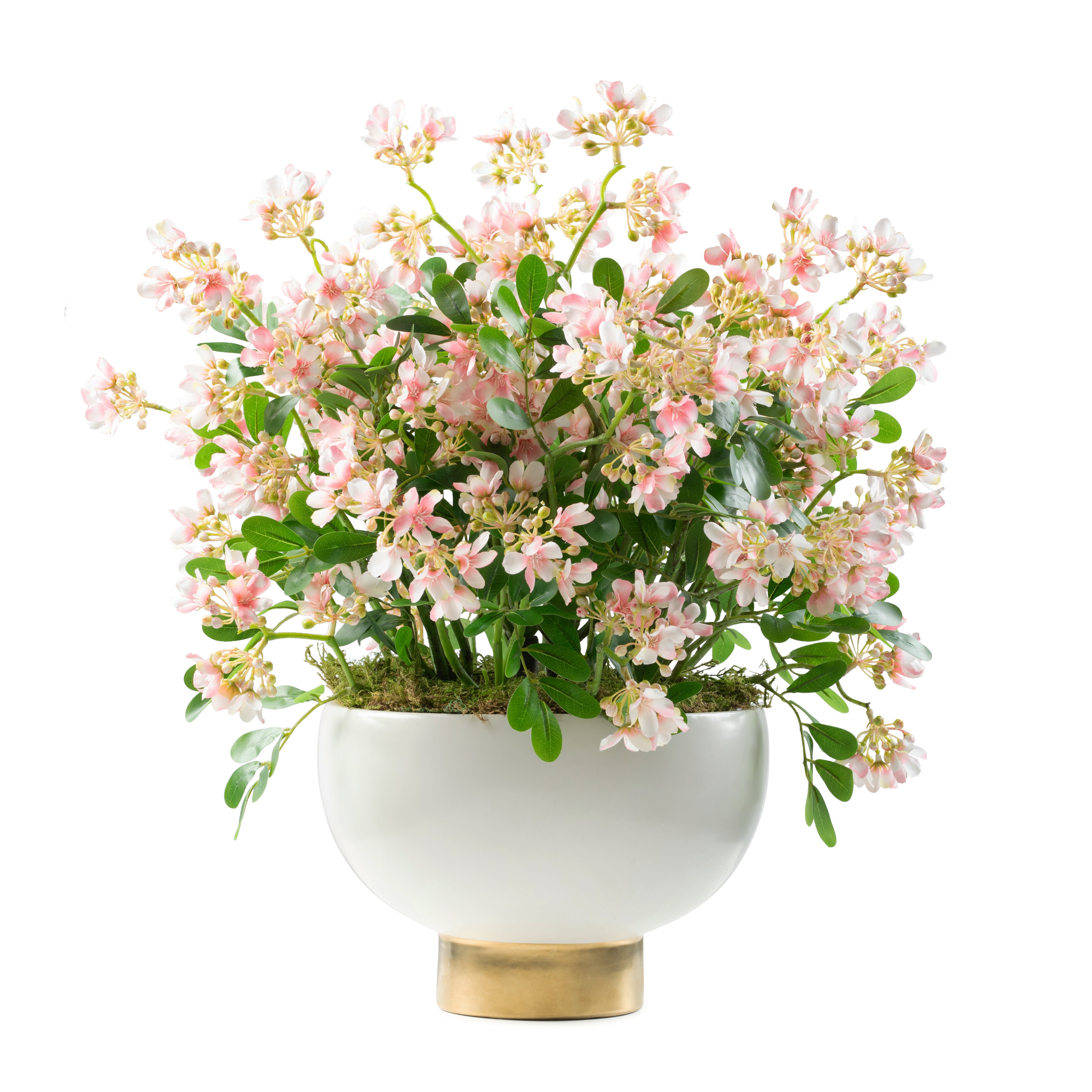  DH Stephanotis Spray in White Pedestal Bowl、mySite、elrpsem3k