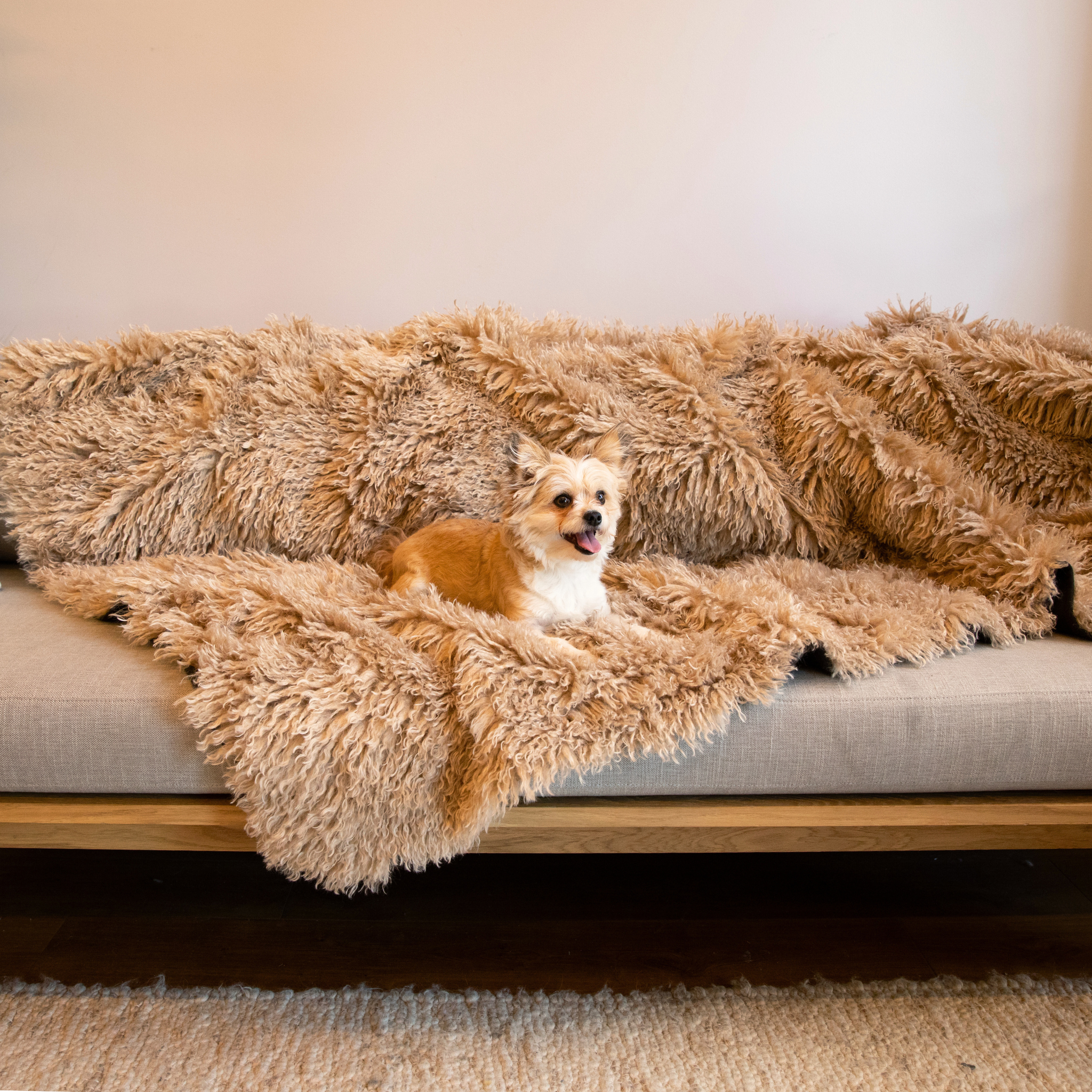 PupProtector™ Luxe Waterproof Faux Fur Blanket - Plush Sheep Tan、mySite、solidvoid