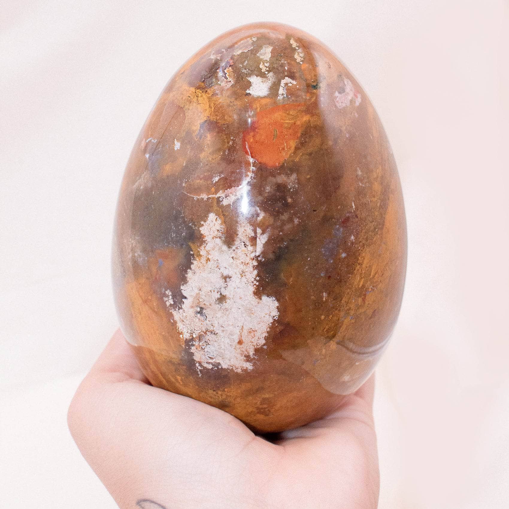 Petrified Wood Egg - AAA Premium Quality、mySite、hinf8tx79