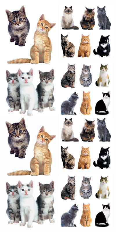 Decorative Stickers - Cats、mySite、ghnorth