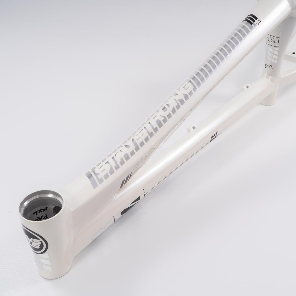  Stay Strong For Life 2023 V4 Pro XXXXL Race Frame - Disc Version、mySite、merchandisen