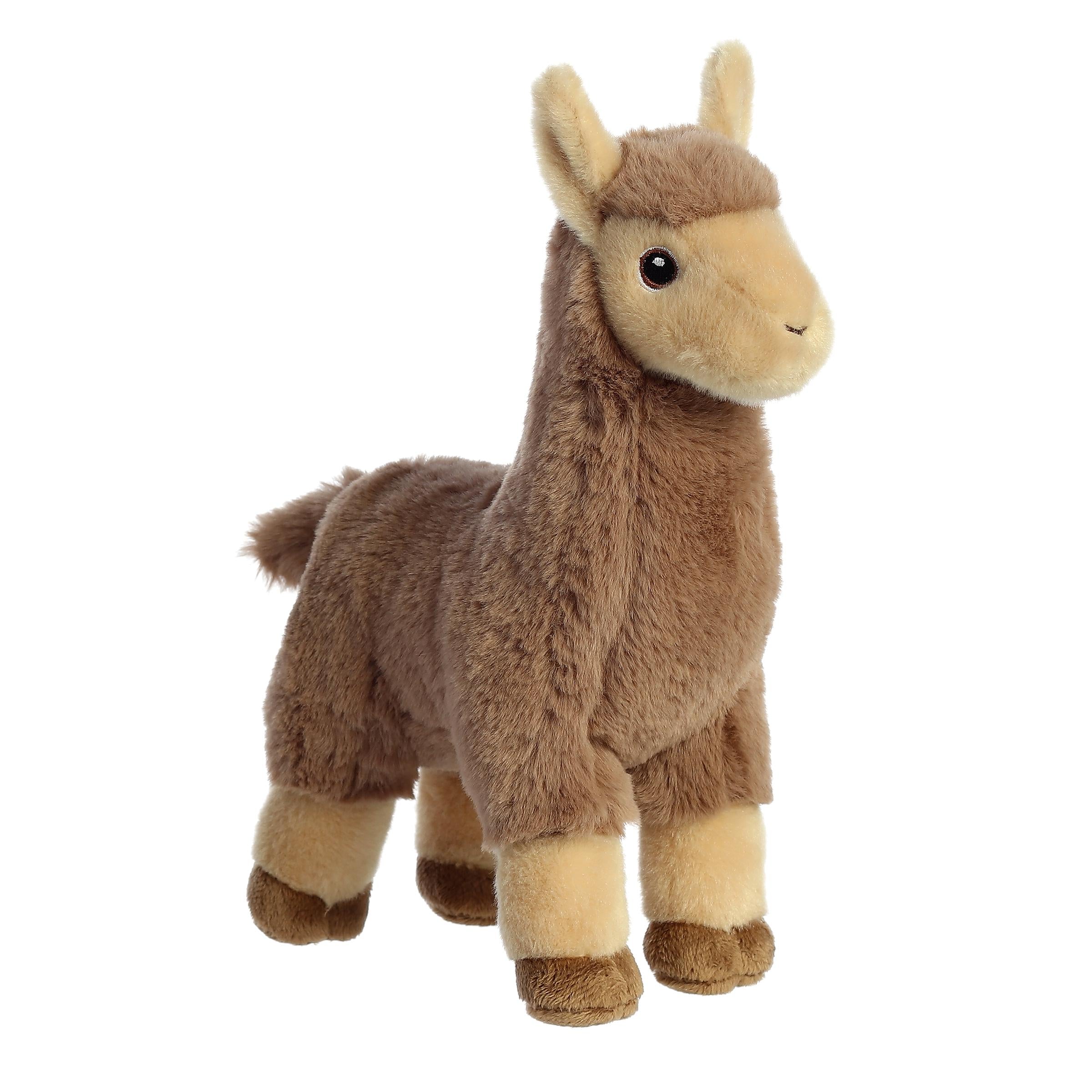 Aurora® - Eco Nation™ - 11 Tan Llama、mySite、g9winljtr
