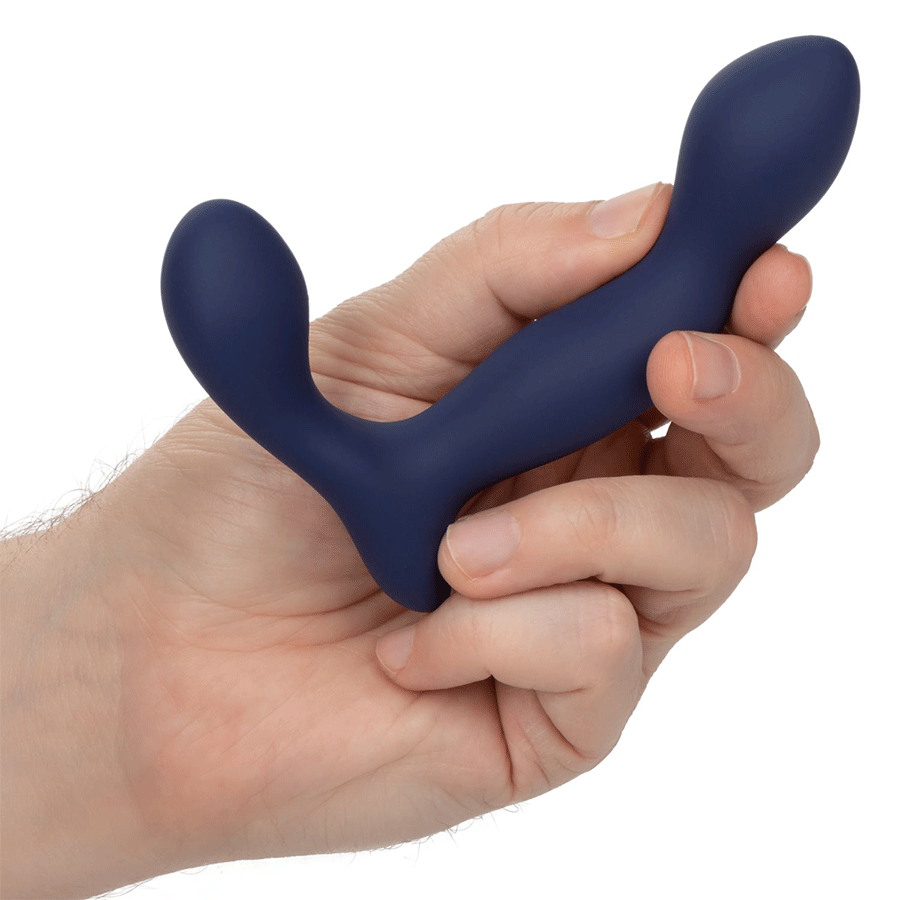 Viceroy Platinum Series Expert Blue Silicone Anal Probe by Cal Exotics、mySite、bottomscart