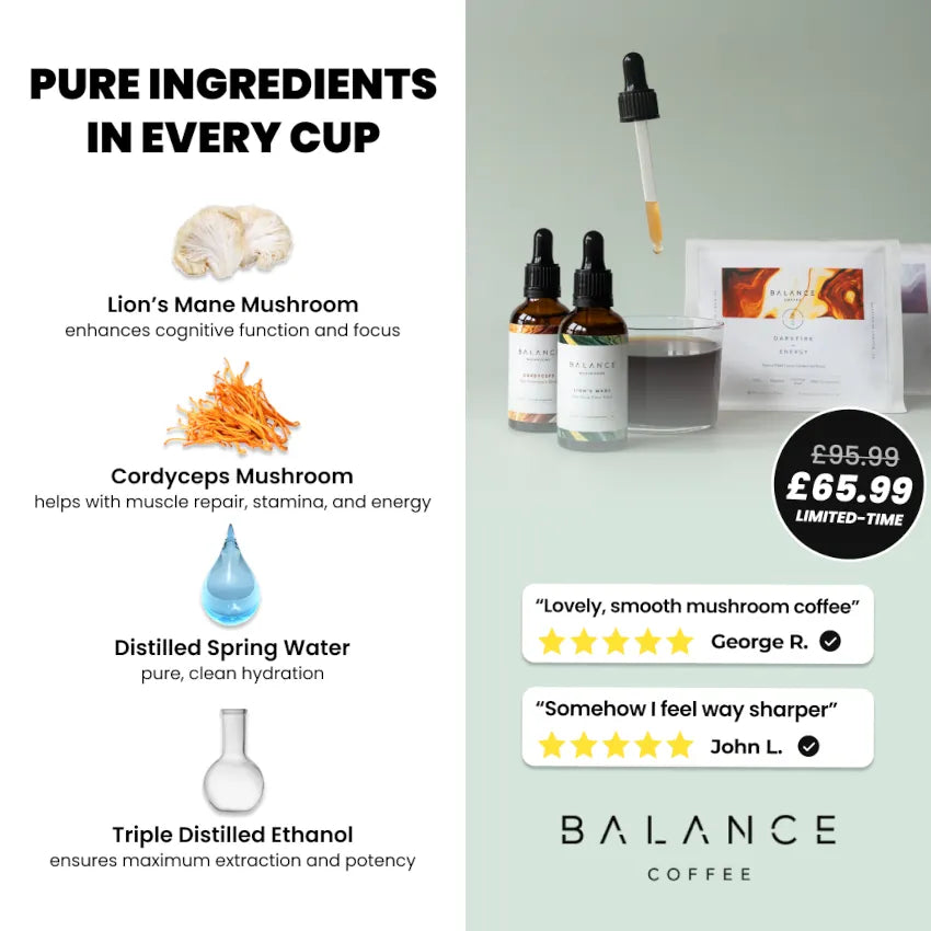 Mushroom Coffee Focus & Energy Bundle、mySite、gigharbornorthrealestate