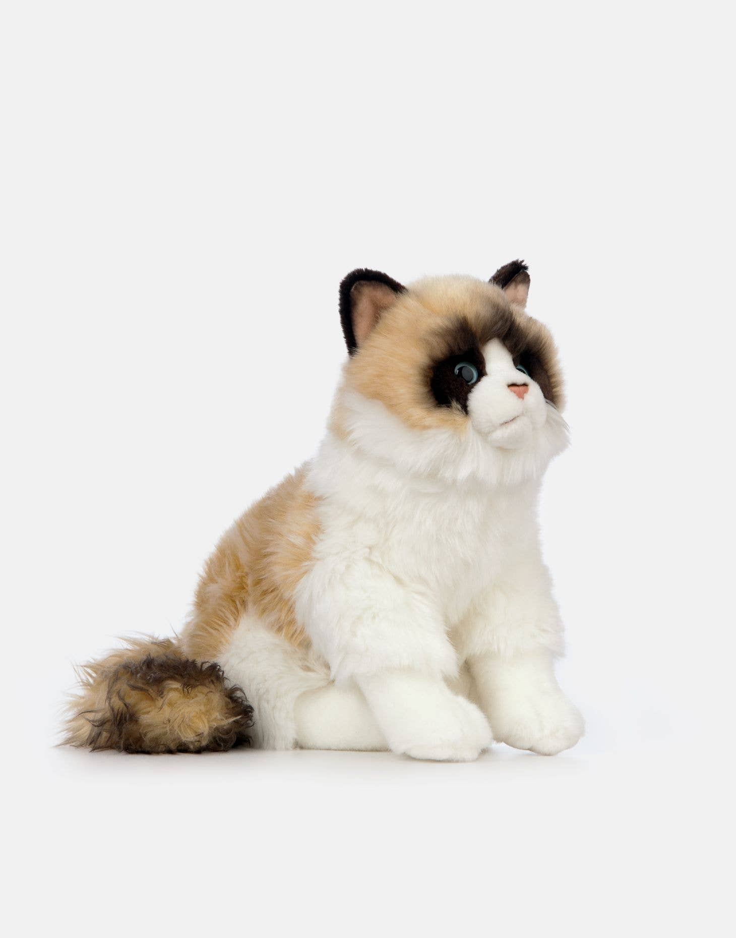 Realistic Ragdoll Cat Sitting Eco Friendly Stuffed Animal、mySite、g9winljtr