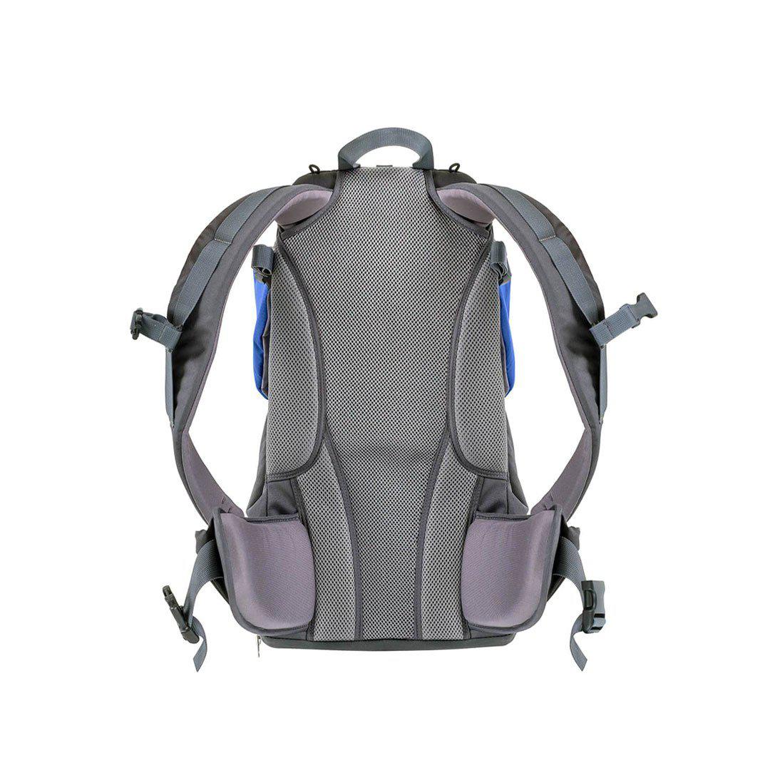  Phil & Teds Parade Baby Carrier - Blue、mySite、merchandisen