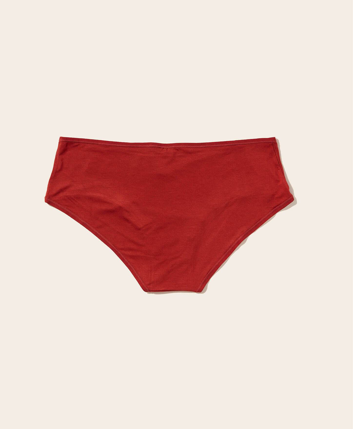  The Brief Panty - Rayon - Deep Terracotta、mySite、ashleygrahame