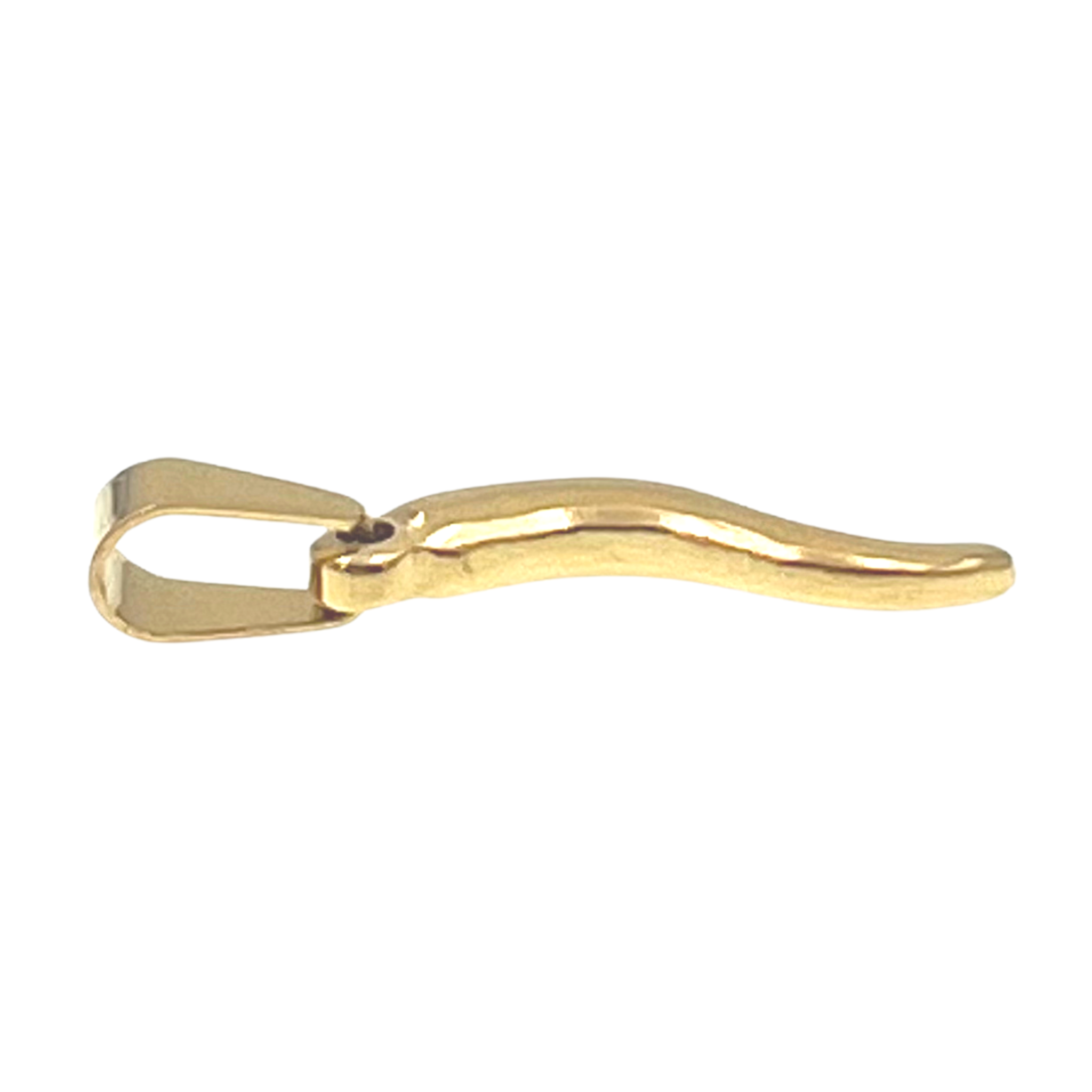 Small Italian Horn Cornicello Stainless Steel Pendant / PDJ5002、mySite、dreamappss