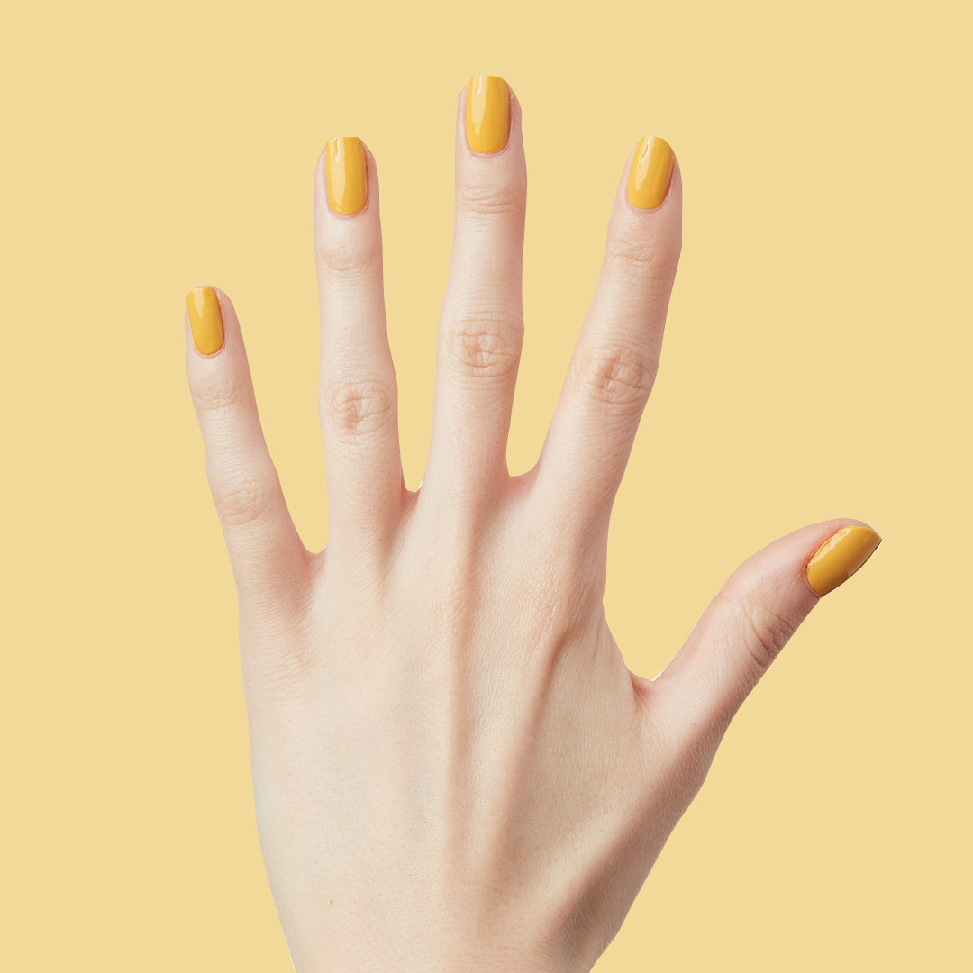 Golden Afternoon、mySite、solidvoid