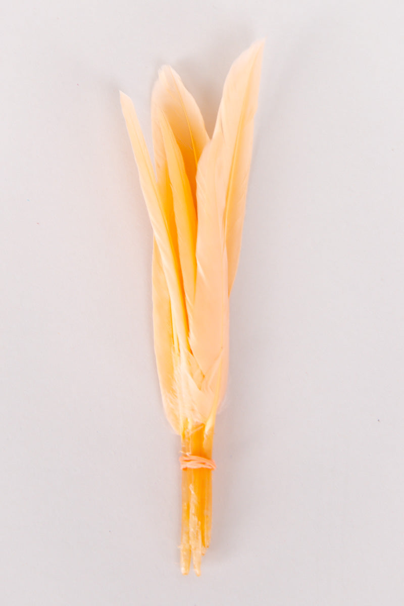Mini Goose Feathers Bundle of 6- Orange Rubber Band - FINAL SALE、mySite、hinf8tx79