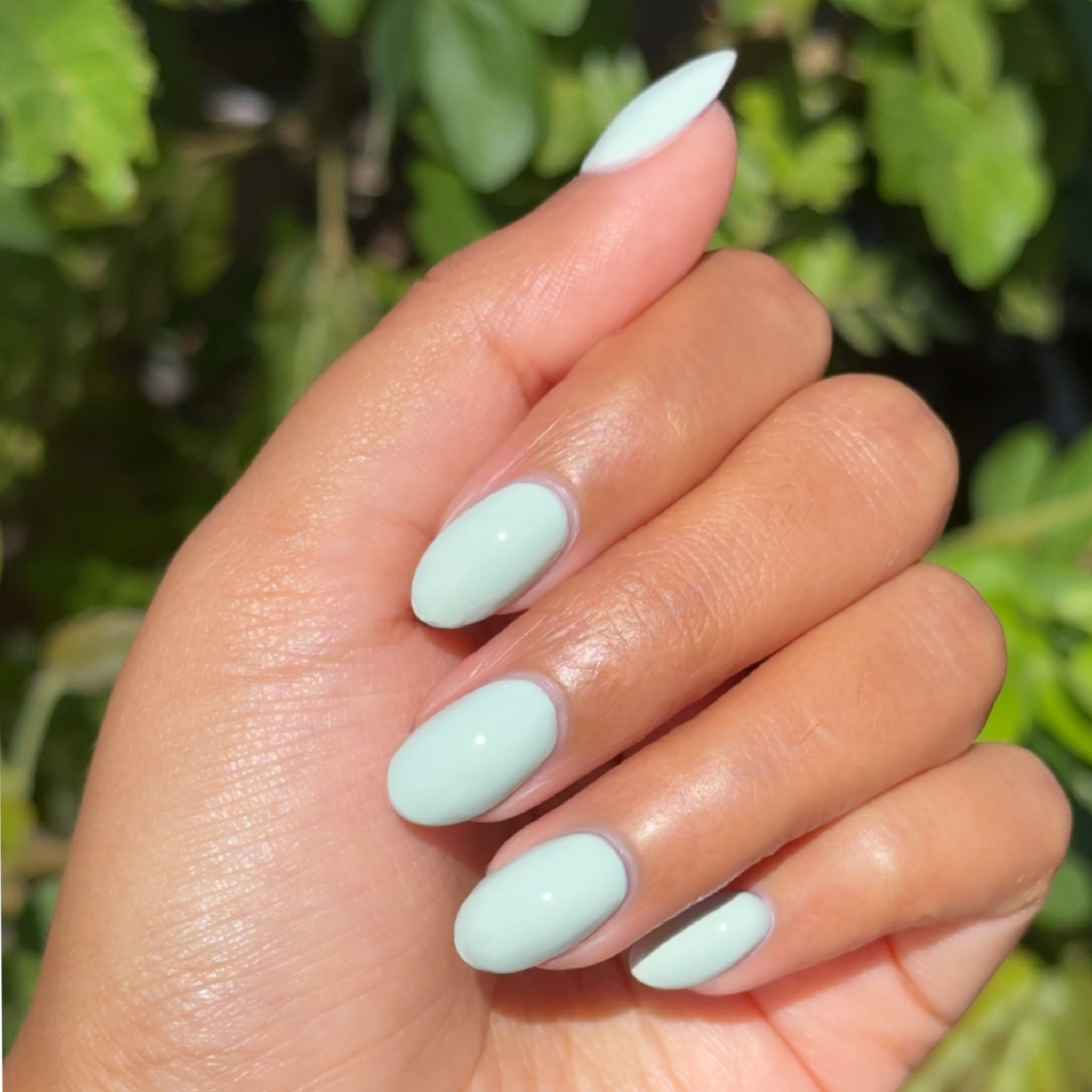 KMC - Gel、mySite、solidvoid