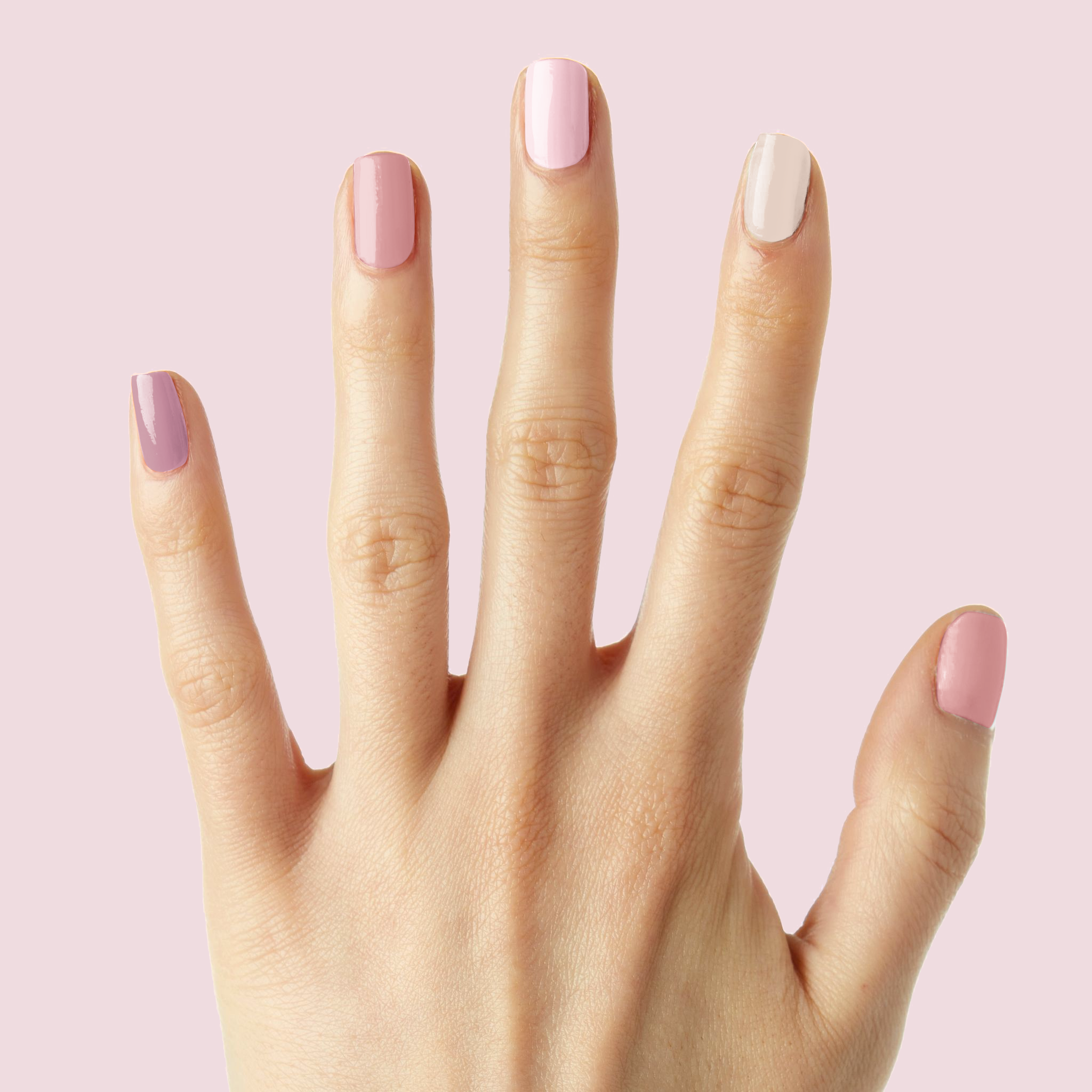 Rose Latte、mySite、solidvoid