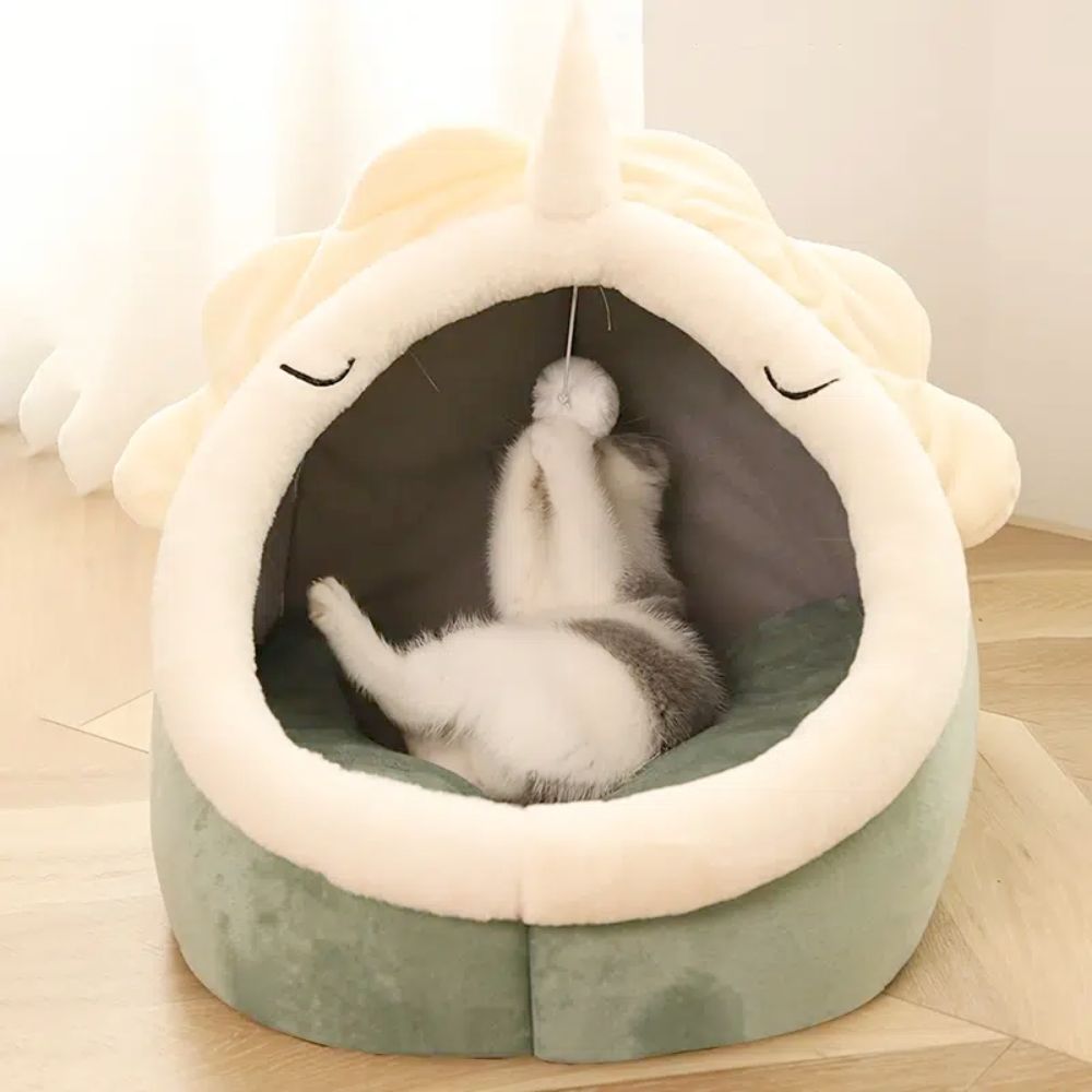 Adorable Dinosaur Pet House、mySite、camillekostekn