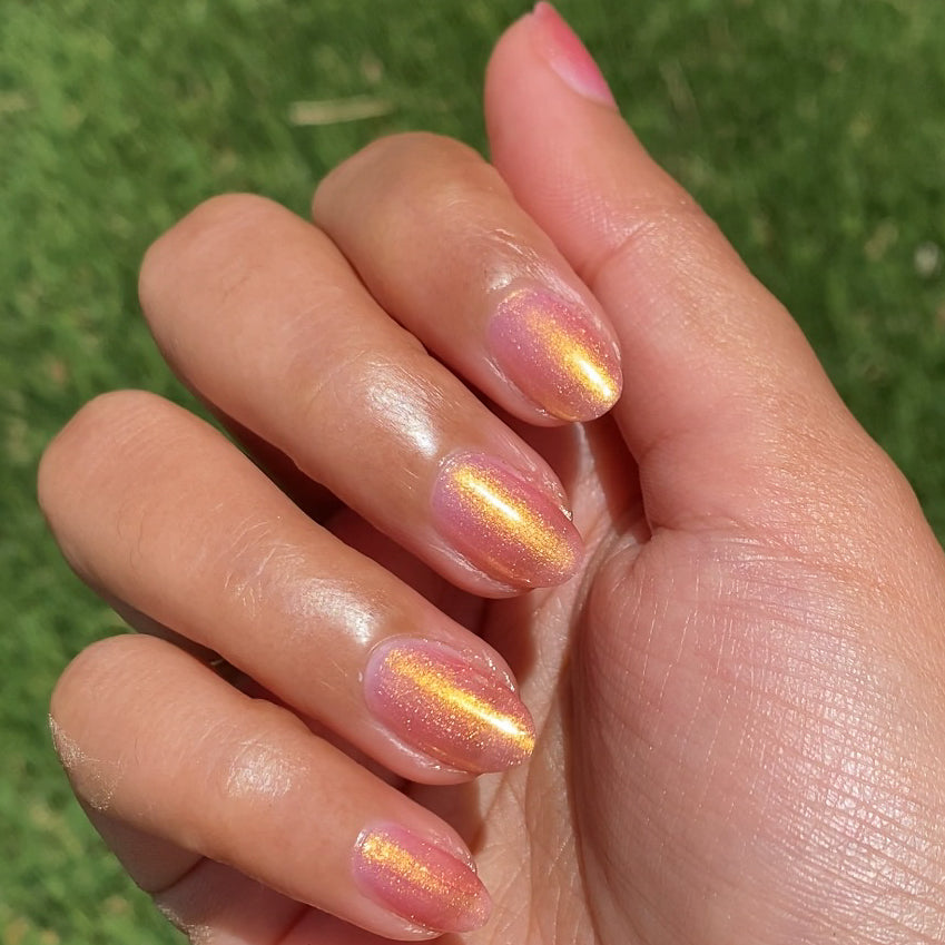 Internal - Baby Starfish、mySite、solidvoid