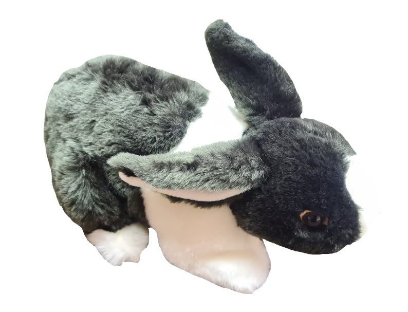 Rabbit、mySite、g9winljtr