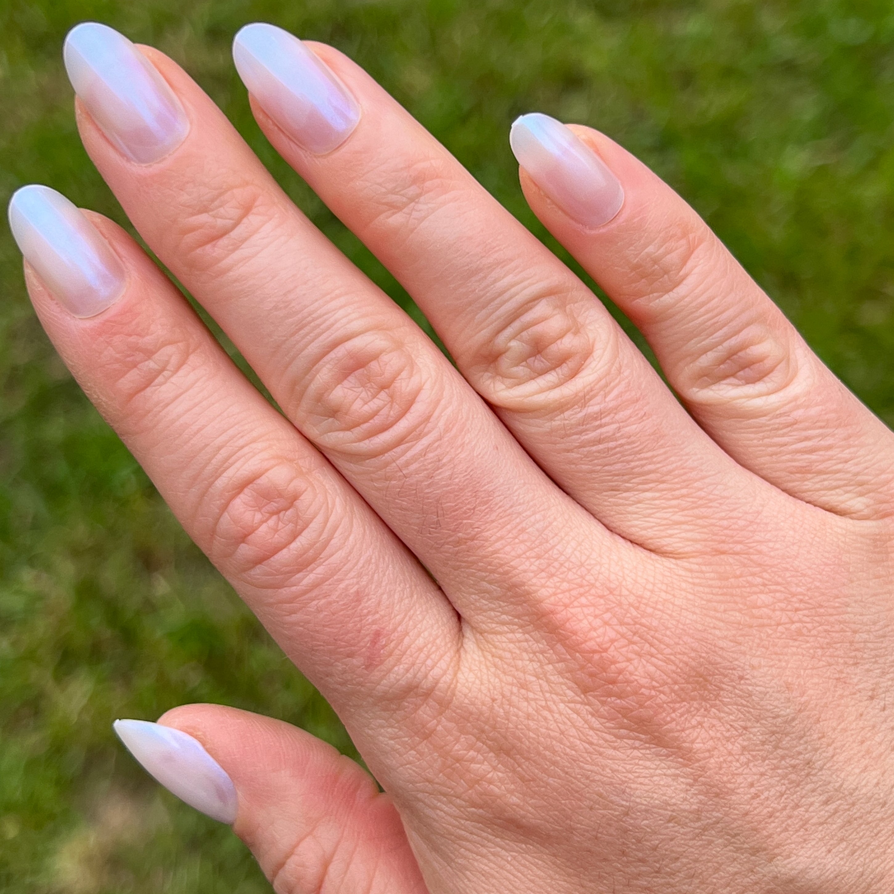 Pink Goldfish | Oval | Medium、mySite、solidvoid