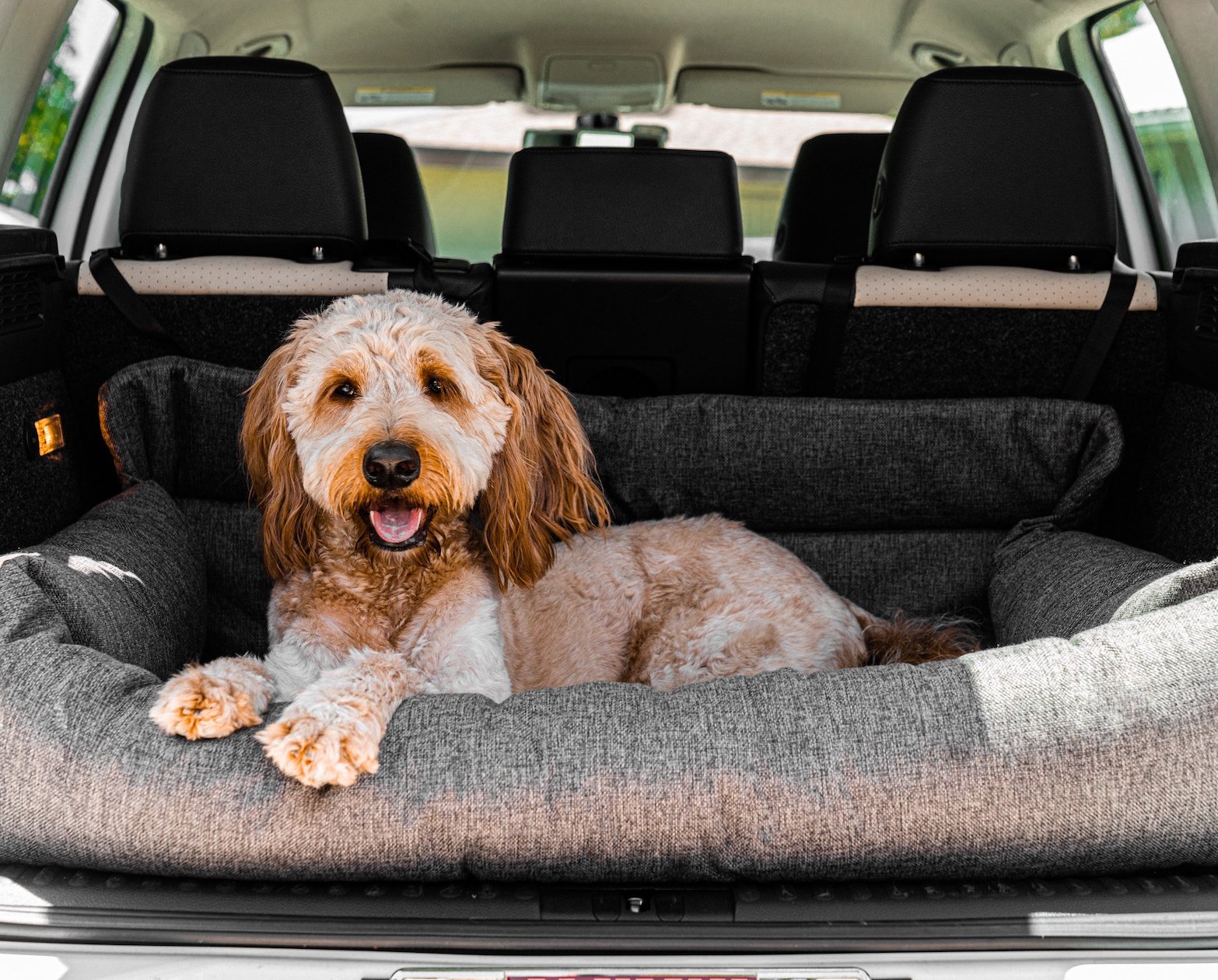 PupProtector™ Memory Foam Dog Car Bed、mySite、solidvoid