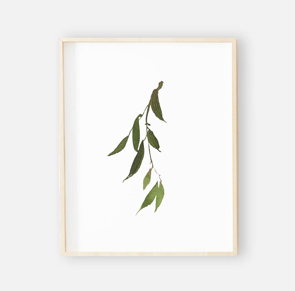 Olive Leaf Digital Nursery Art Print Group、mySite、layawaytickets