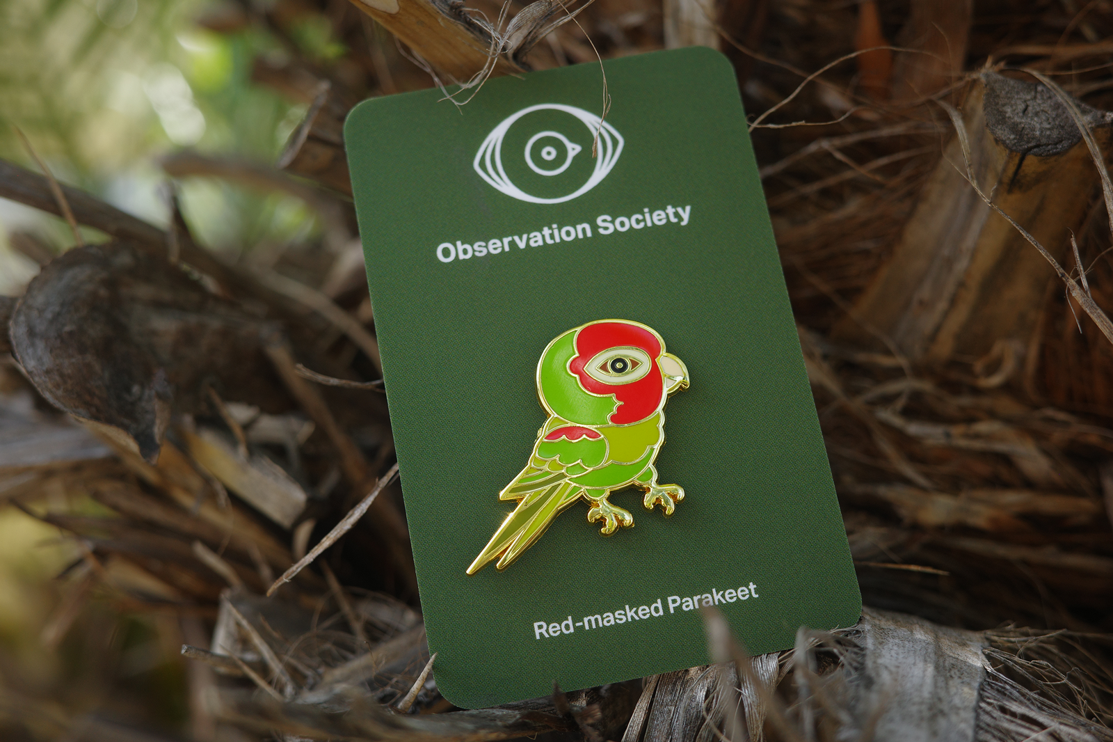 Observation Society - Red Masked Parakeet-Pin、mySite、garagedoors4me