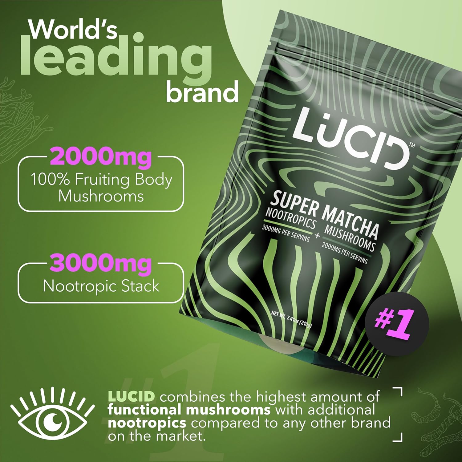 Lucid™ Nootropic+Mushroom Matcha、mySite、gigharbornorthrealestate