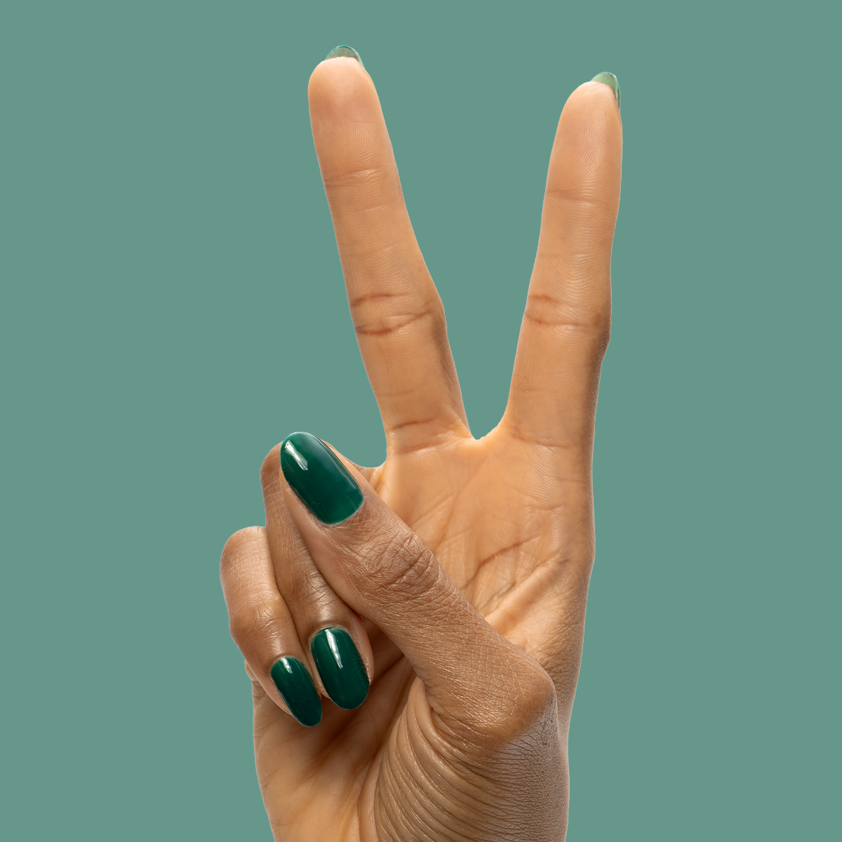 Fiddlefig - Gel、mySite、solidvoid