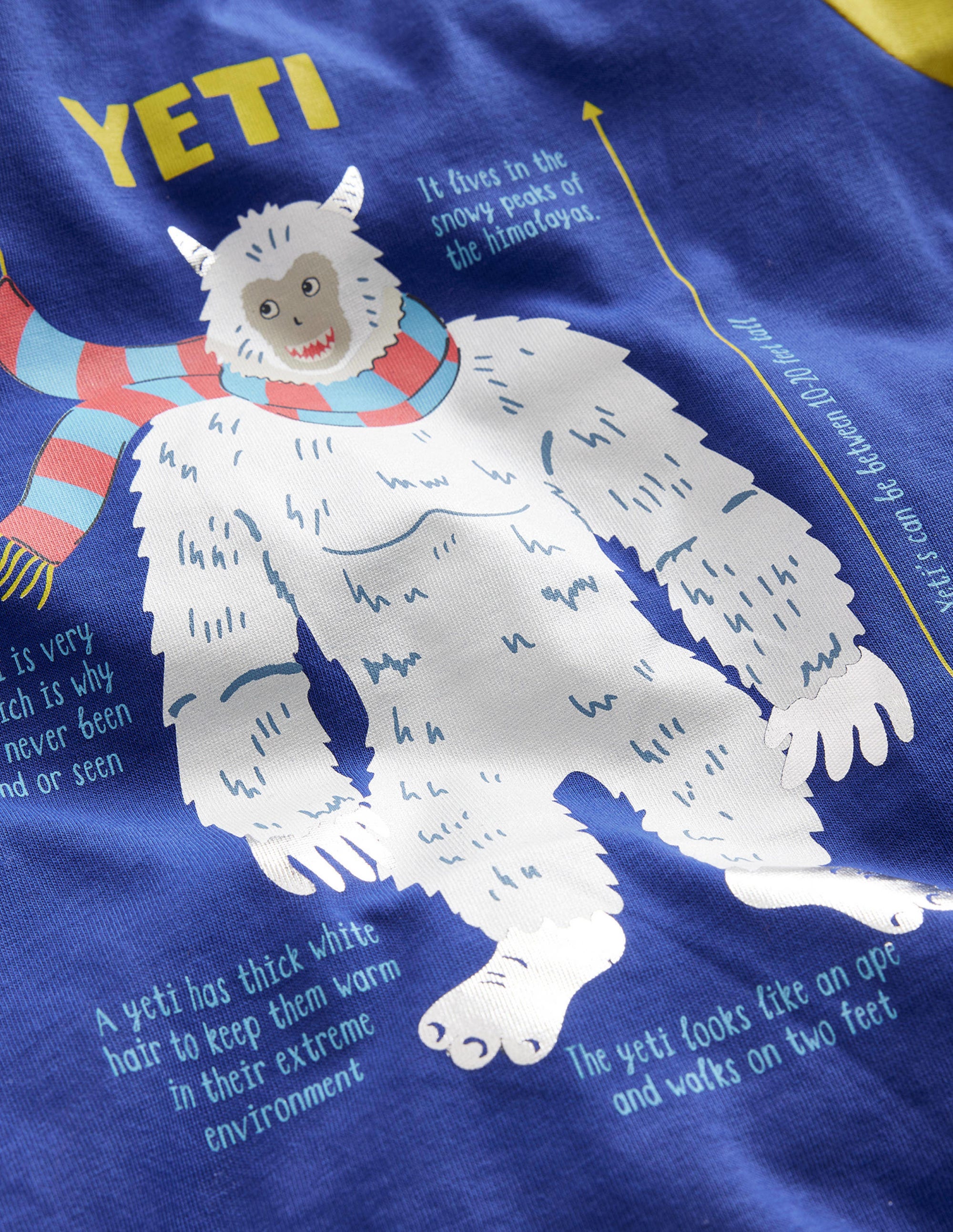  Graphic Educational T-shirt-Dark Cobalt/Gooseberry Yellow、mySite、ashleygrahame