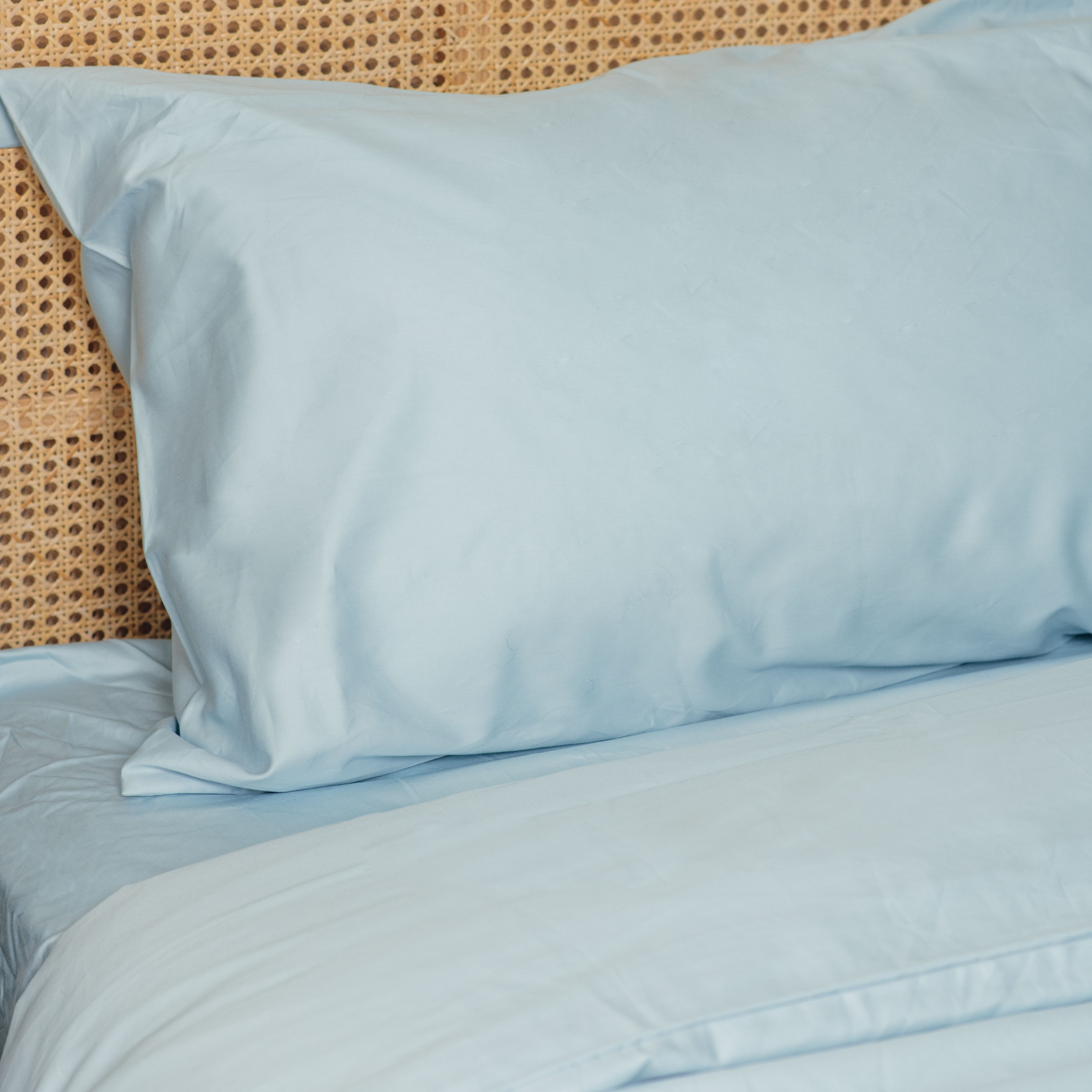 PupSheets™ Hair Resistant, Antimicrobial & Cooling Duvet Cover and Sham Set - Sky Blue、mySite、solidvoid