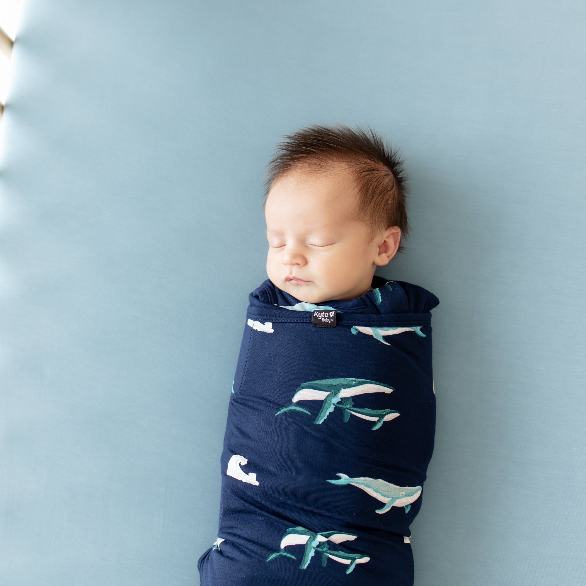  Sleep Bag Swaddler in Humpback 1.0、mySite、layawaytickets