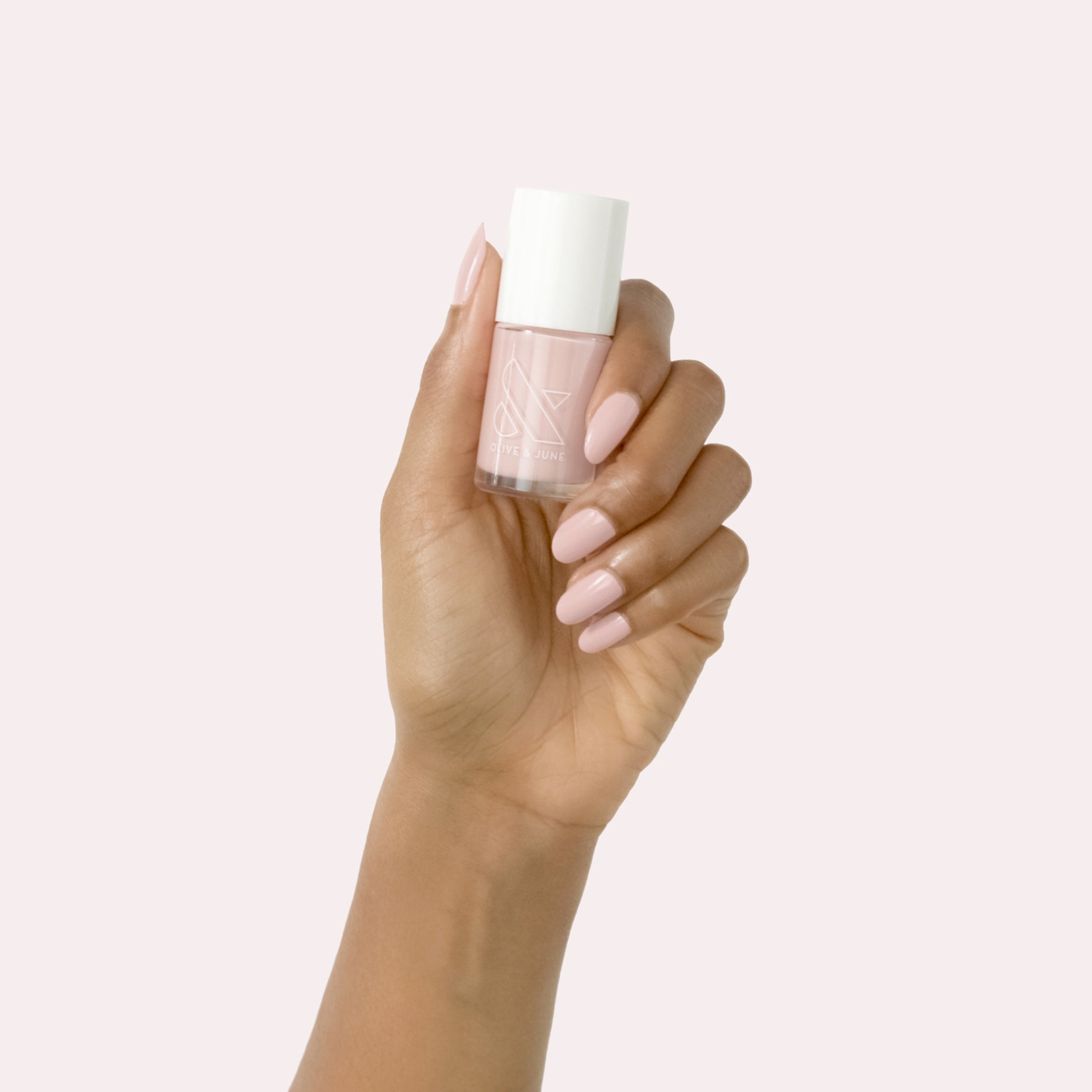 Study Hall、mySite、solidvoid