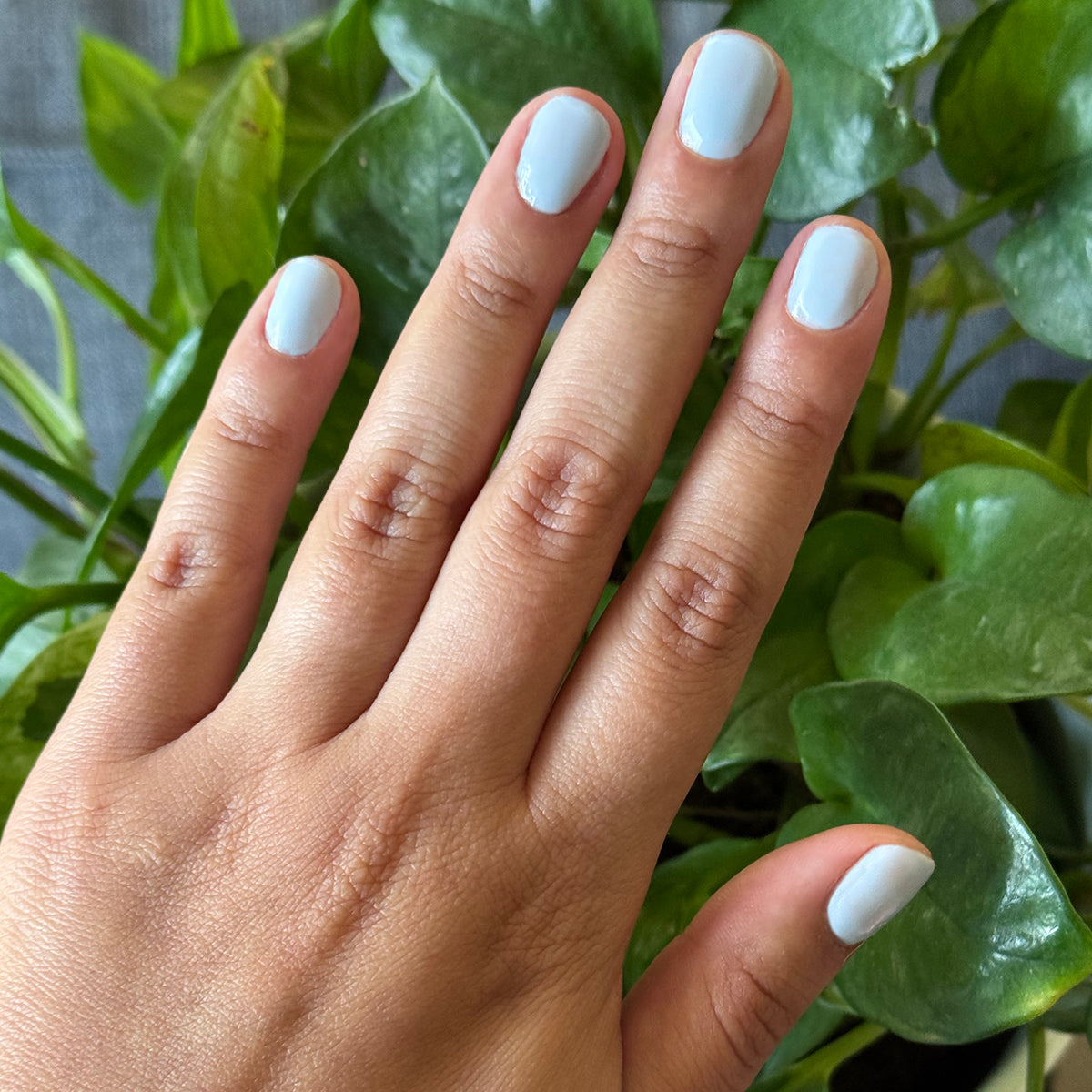 BP - Gel、mySite、solidvoid