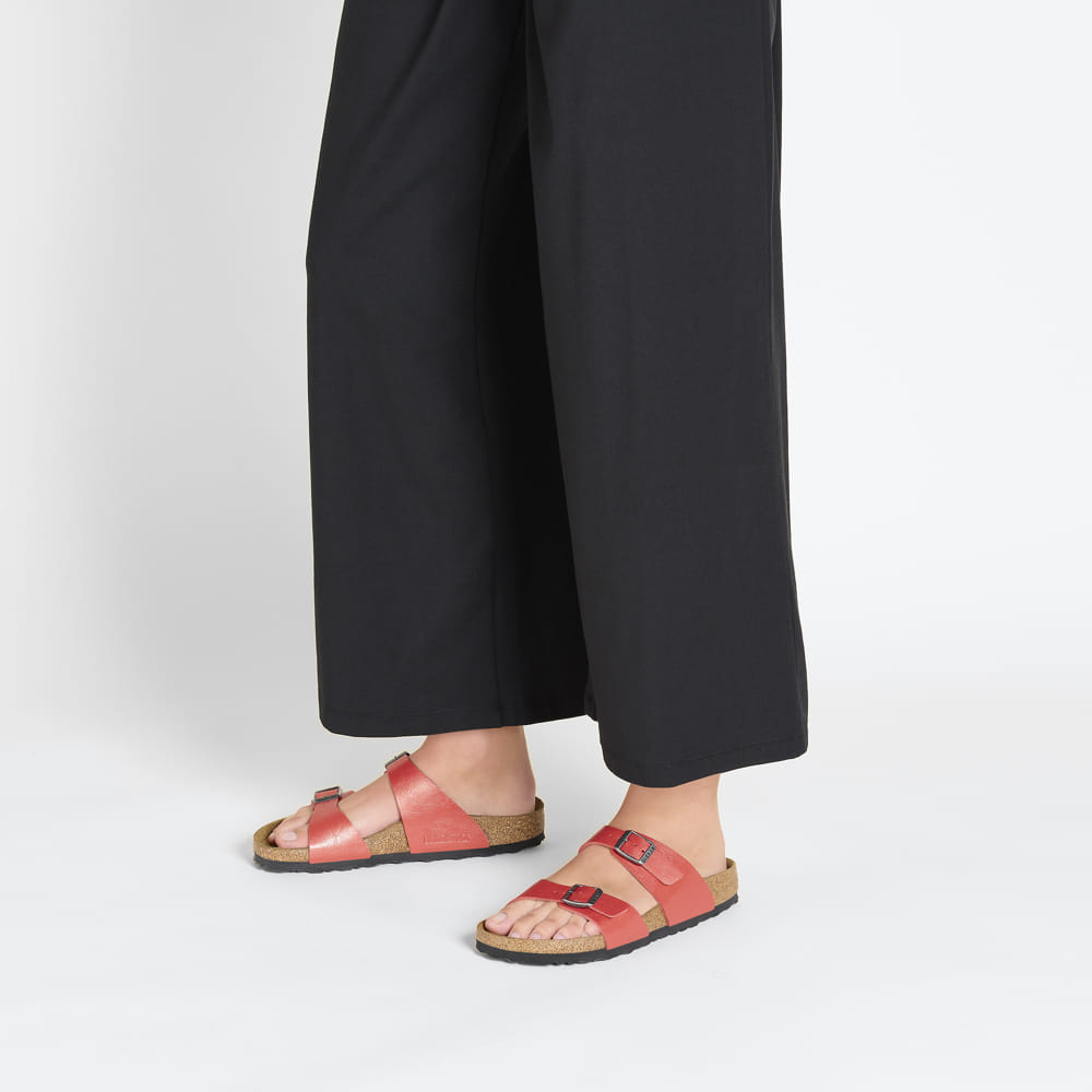 Sydney Birko-Flor、mySite、gtrtttuynbv