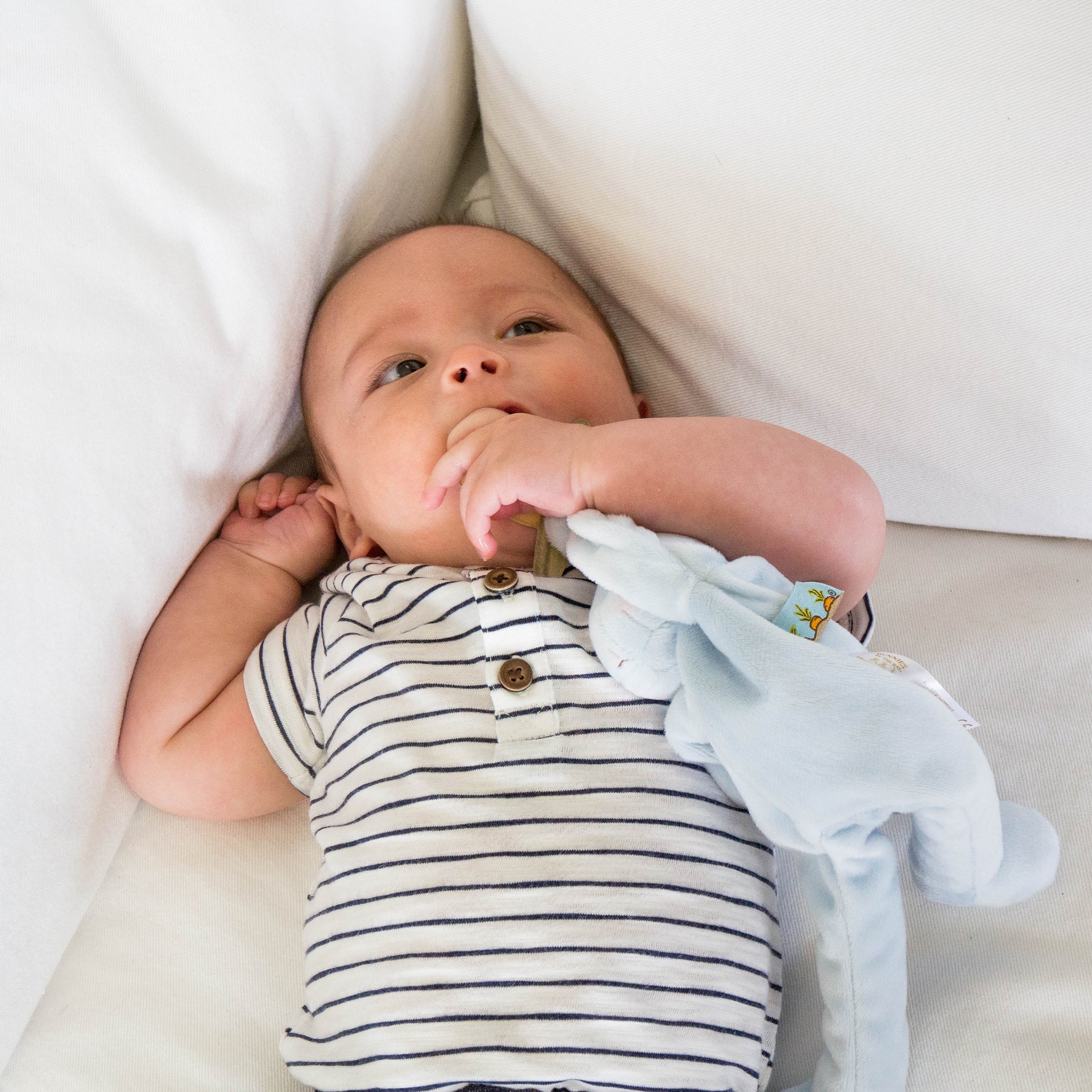 Snuggle and Soothe Baby Gift Set - Blue、mySite、g9winljtr