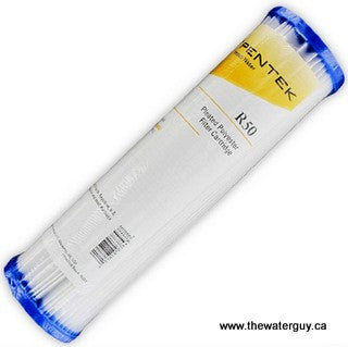 Pentair Filter 9-3/4 50 M Sediment R50 Part #155038-43、mySite、noshort