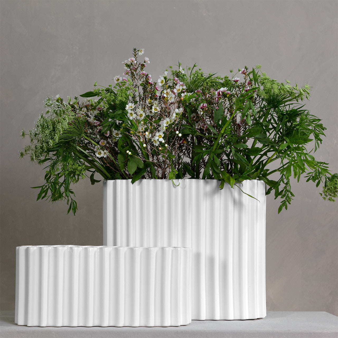  Juno Vase、mySite、elrpsem3k