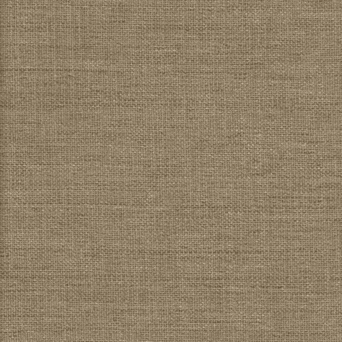 Grade A: Club CL010、mySite、neckold