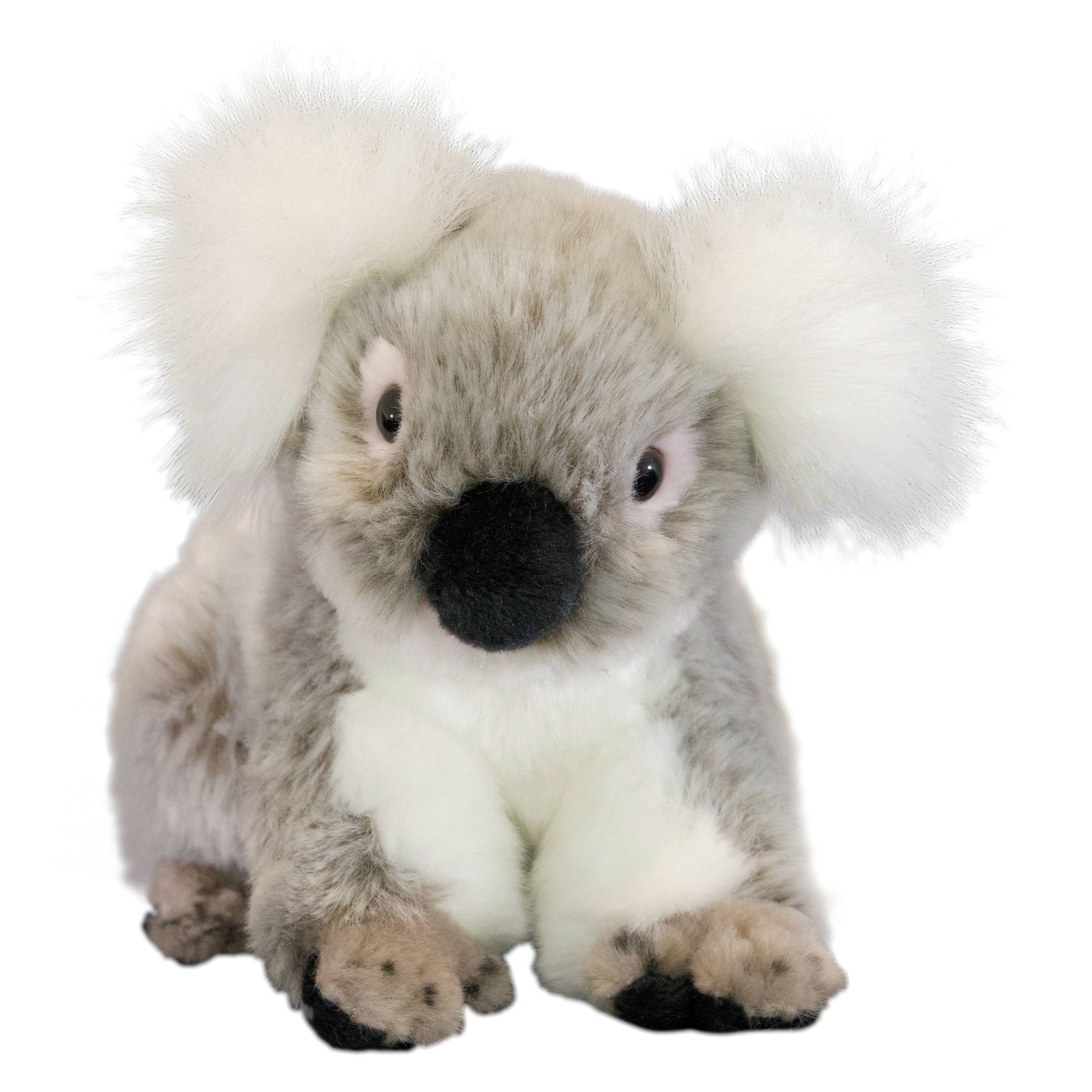 Plush Koala in 3 Sizes, Lifelike!、mySite、g9winljtr