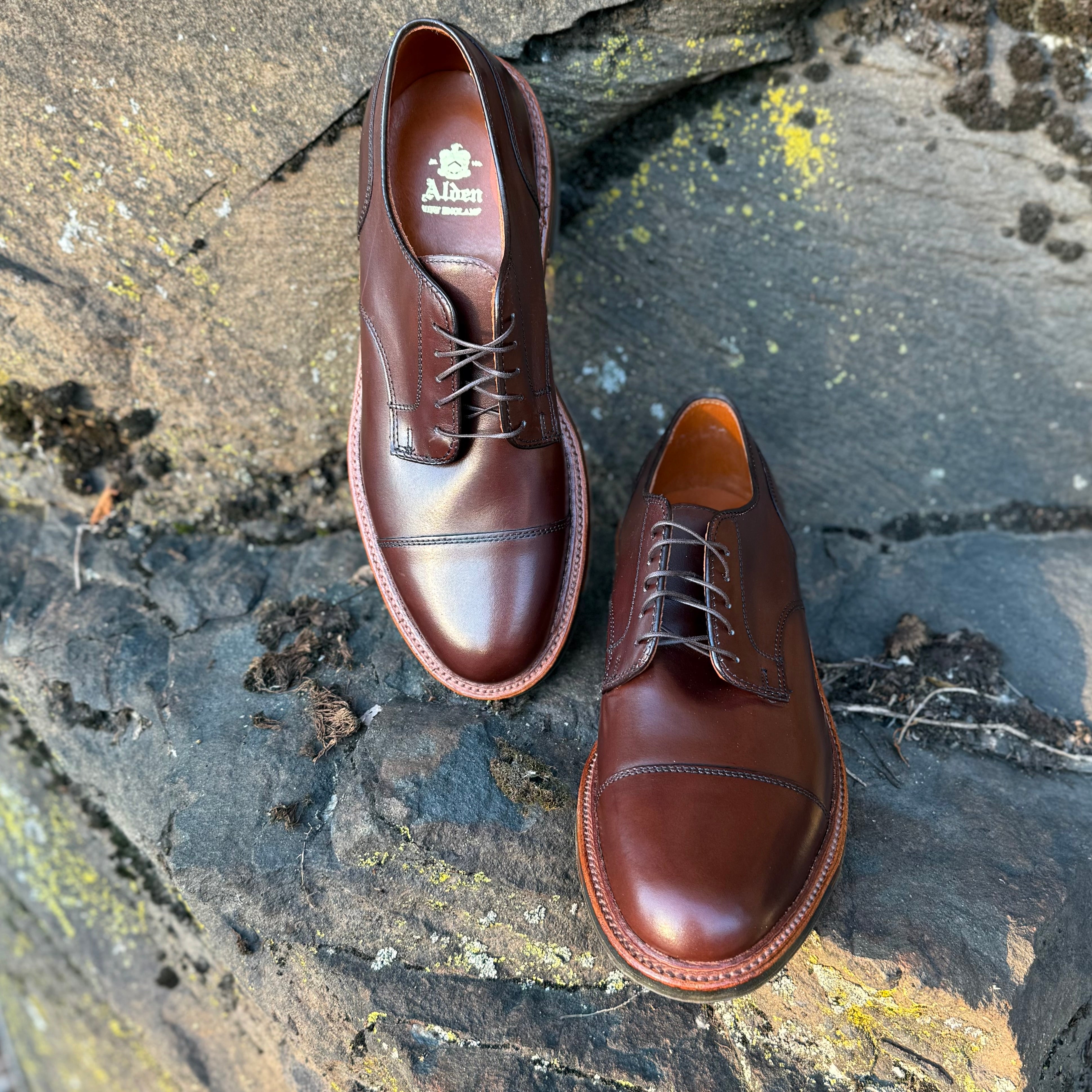  22531C - Brown Calf DeRosa Cap Toe、mySite、preschool7hills